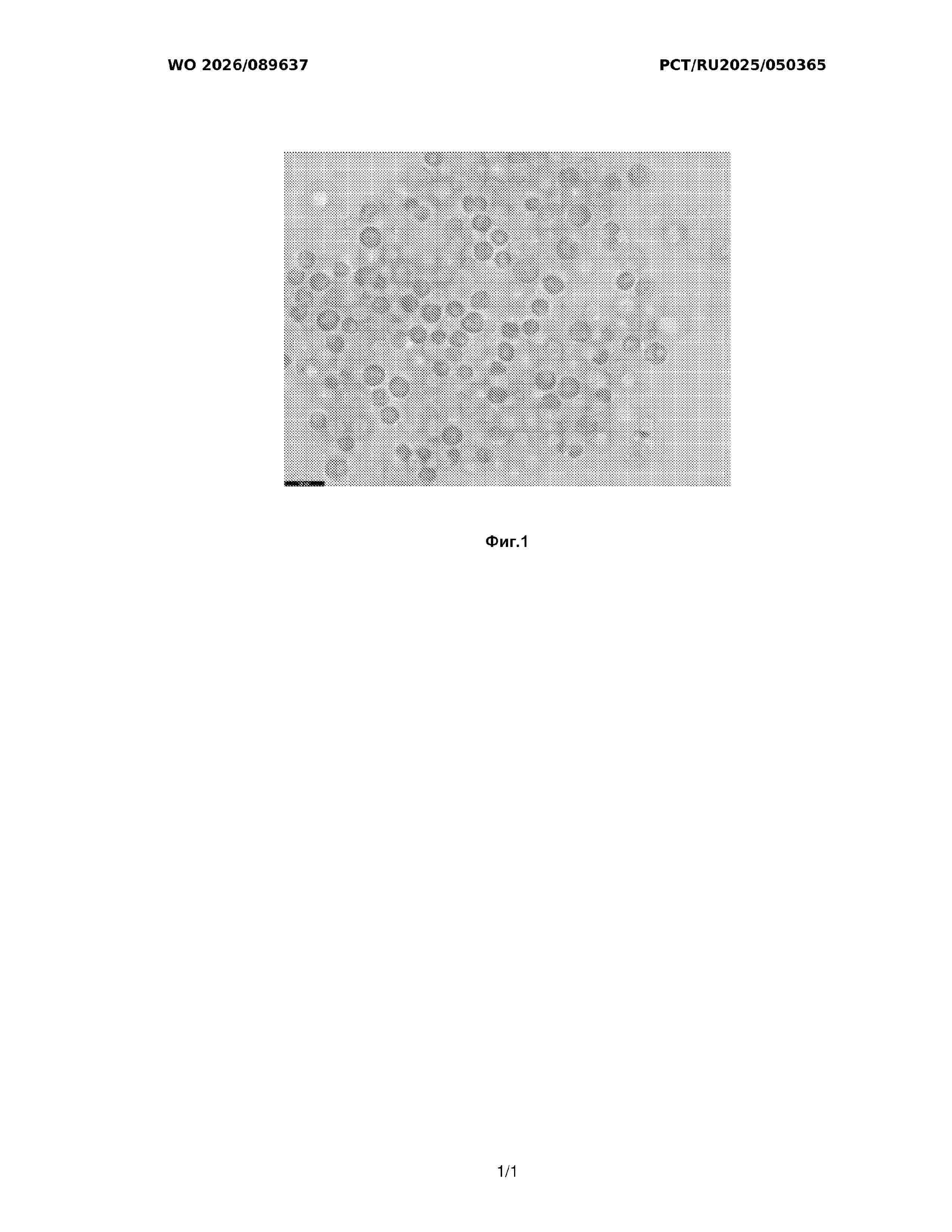 WO_2026089637_A1