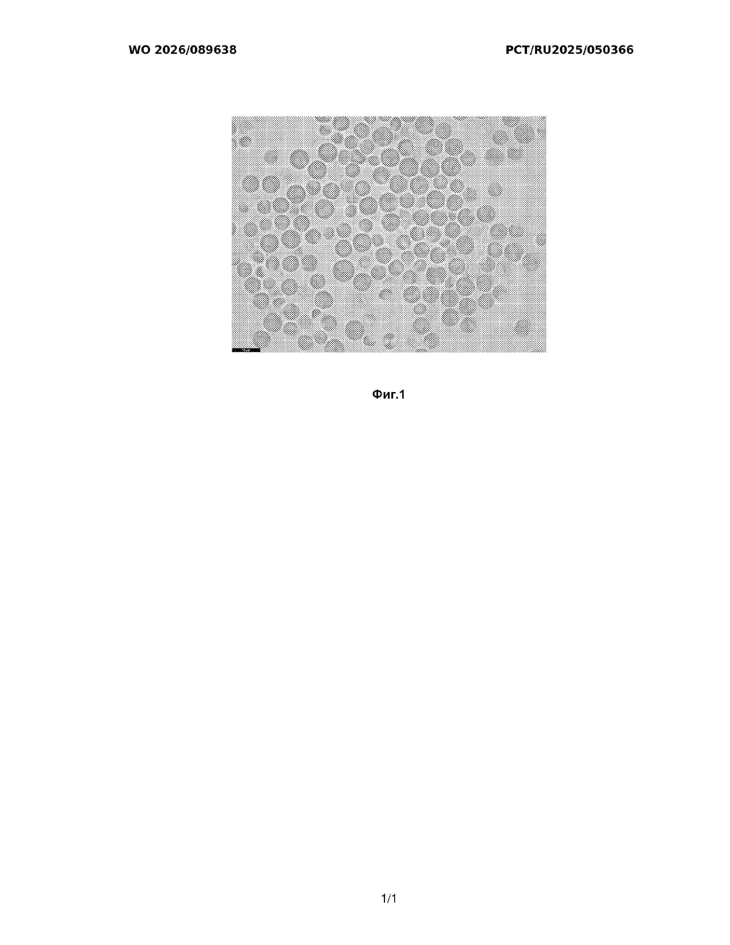 WO_2026089638_A1