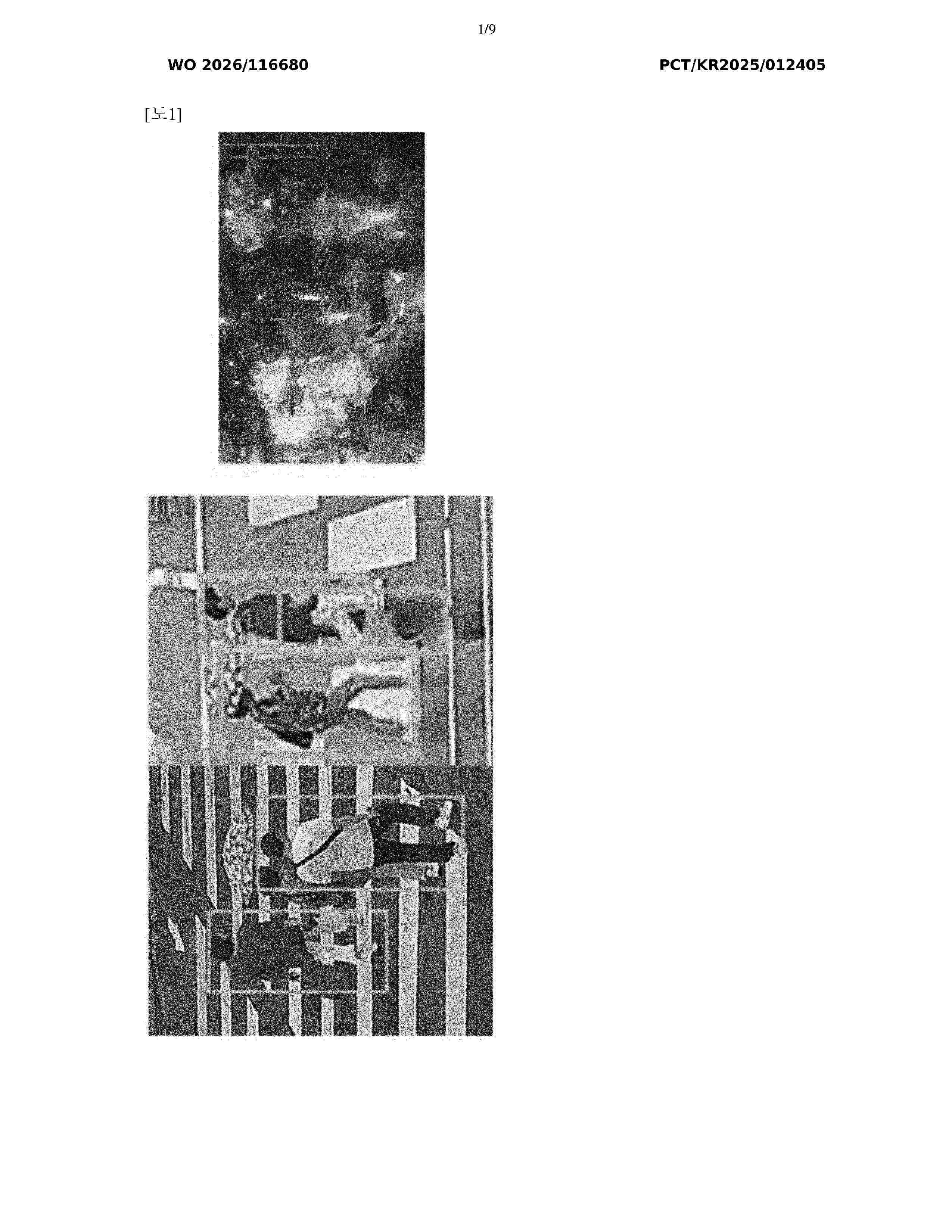 WO_2026116680_A1