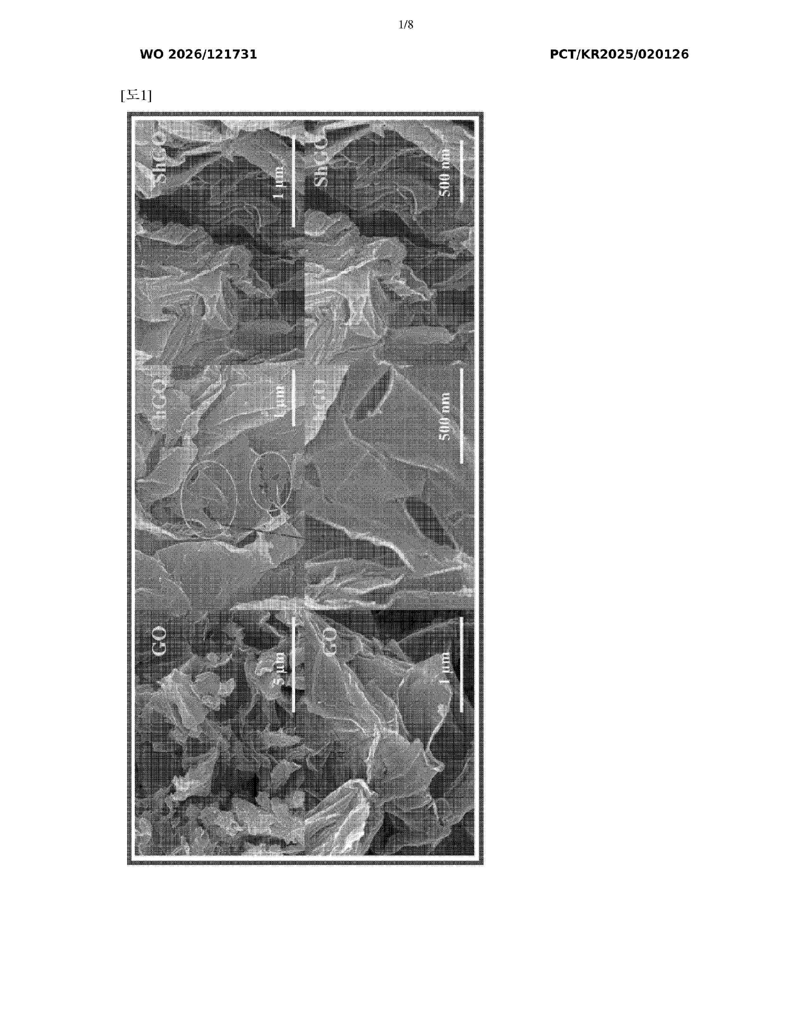 WO_2026121731_A1