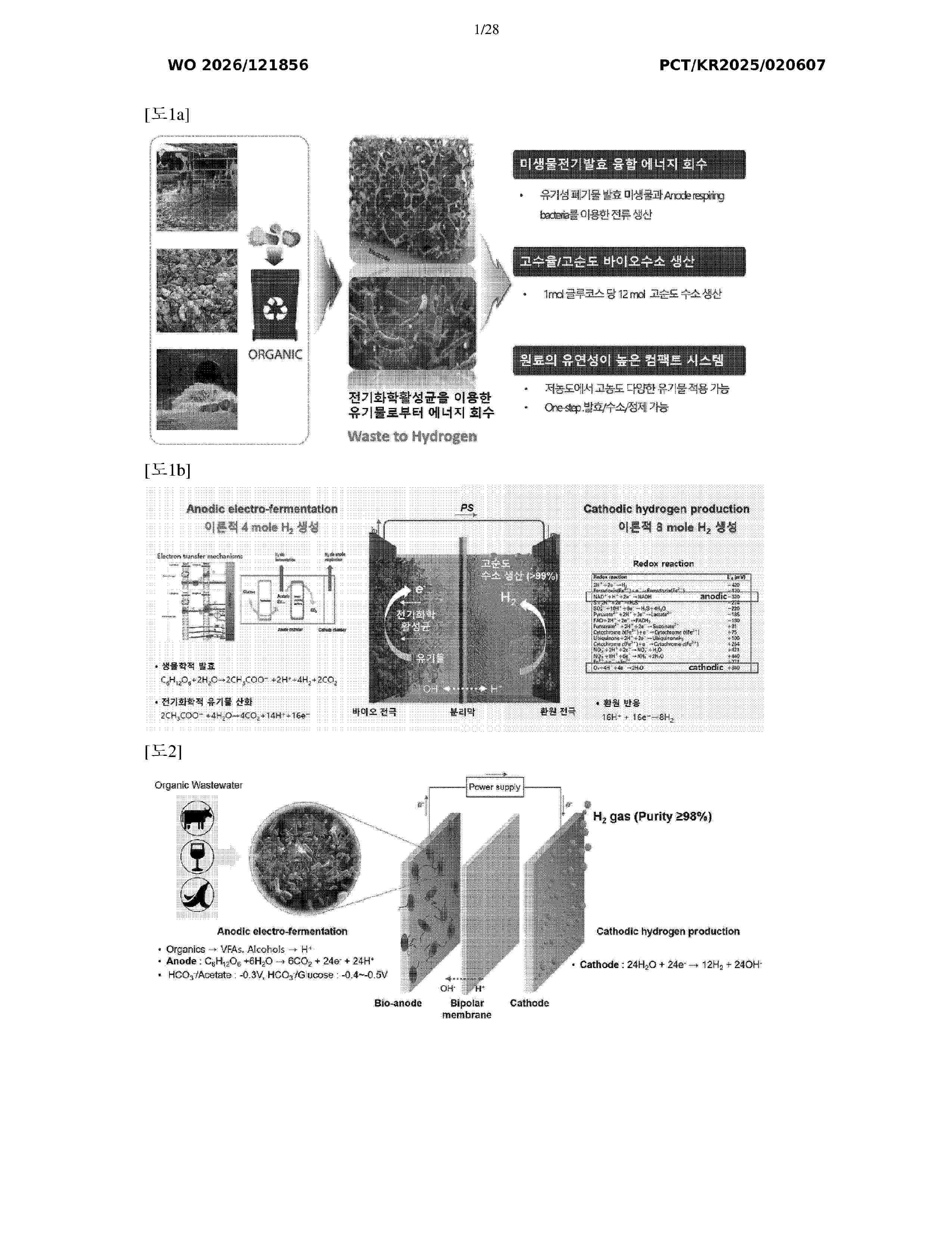 WO_2026121856_A1