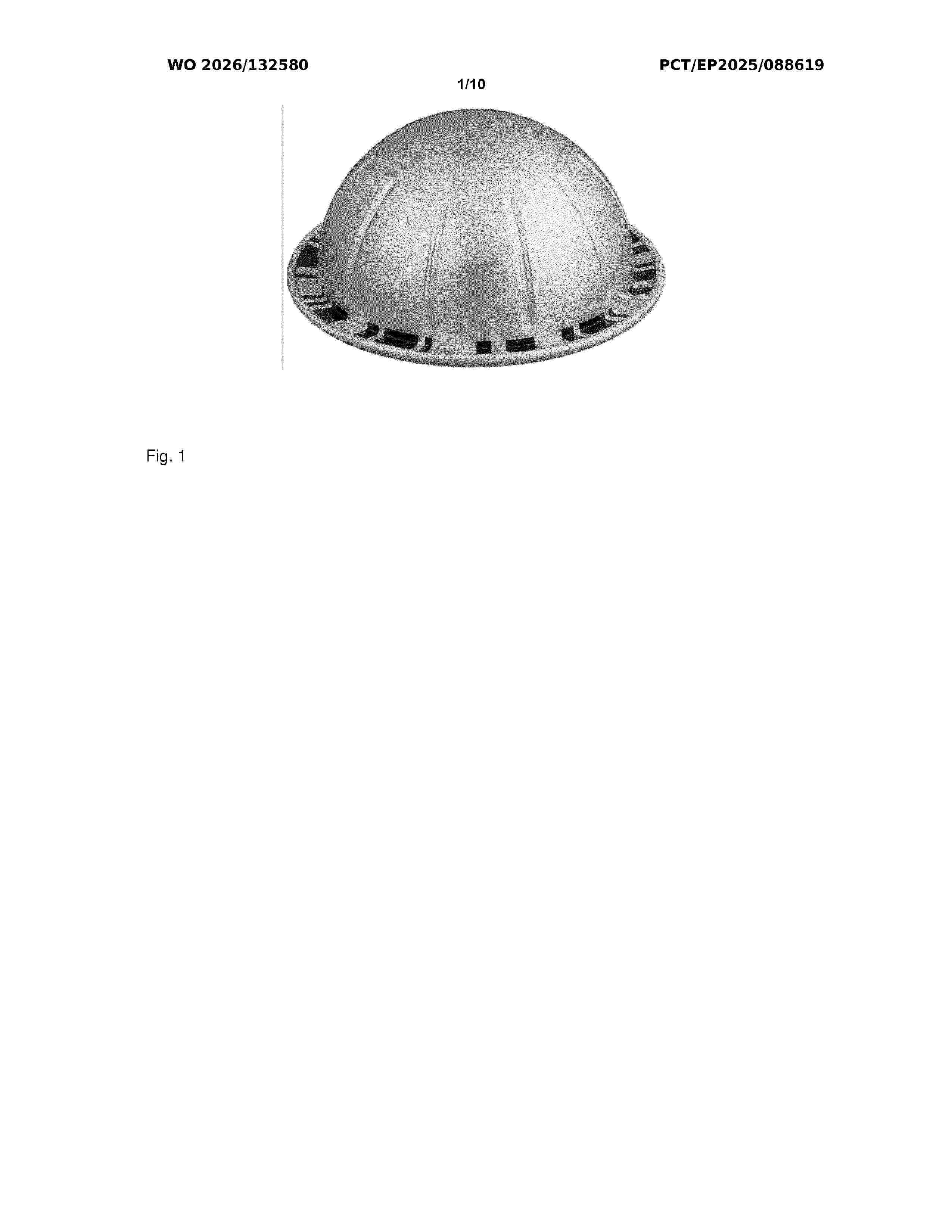 WO_2026132580_A2