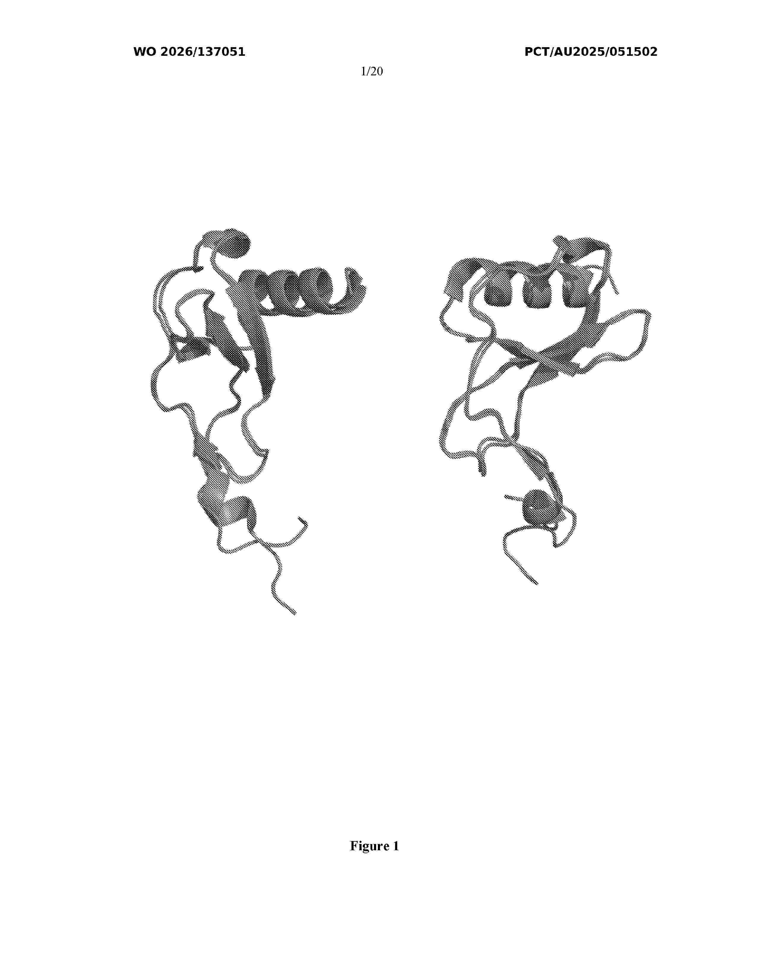 WO_2026137051_A1