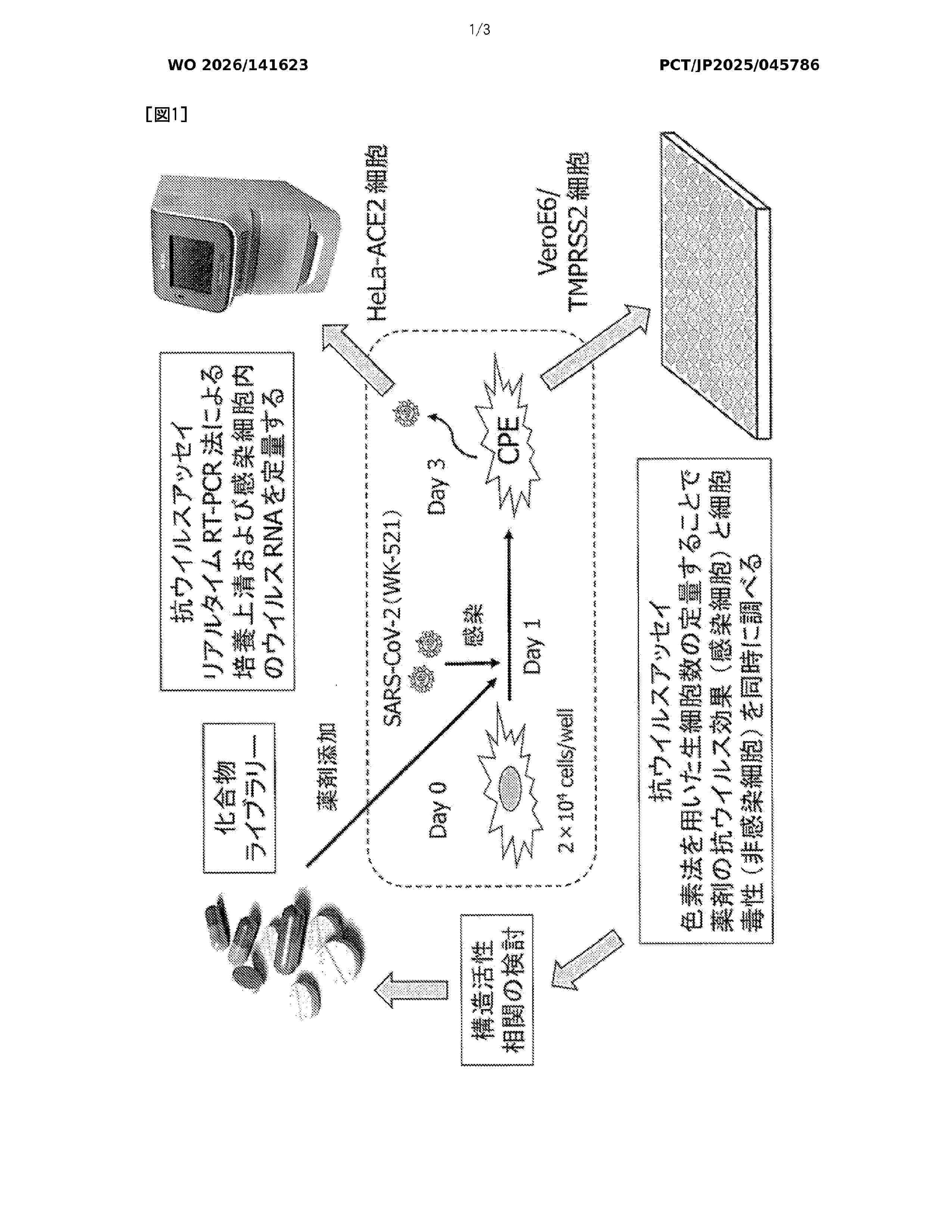 WO_2026141623_A1