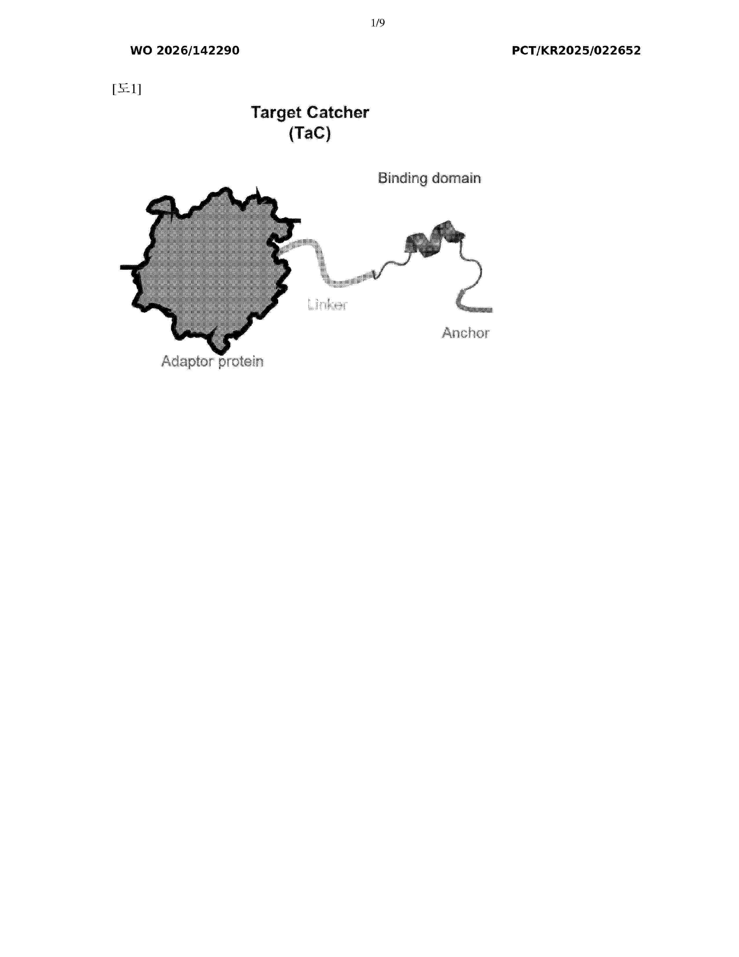 WO_2026142290_A1