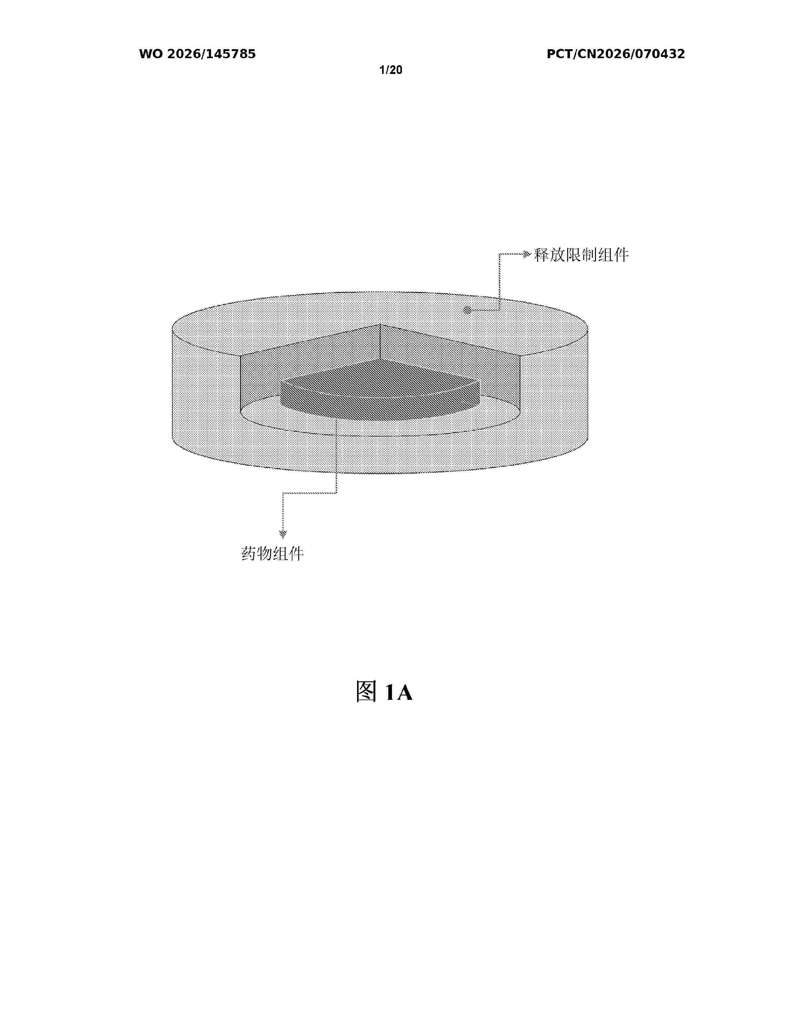 WO_2026145785_A1