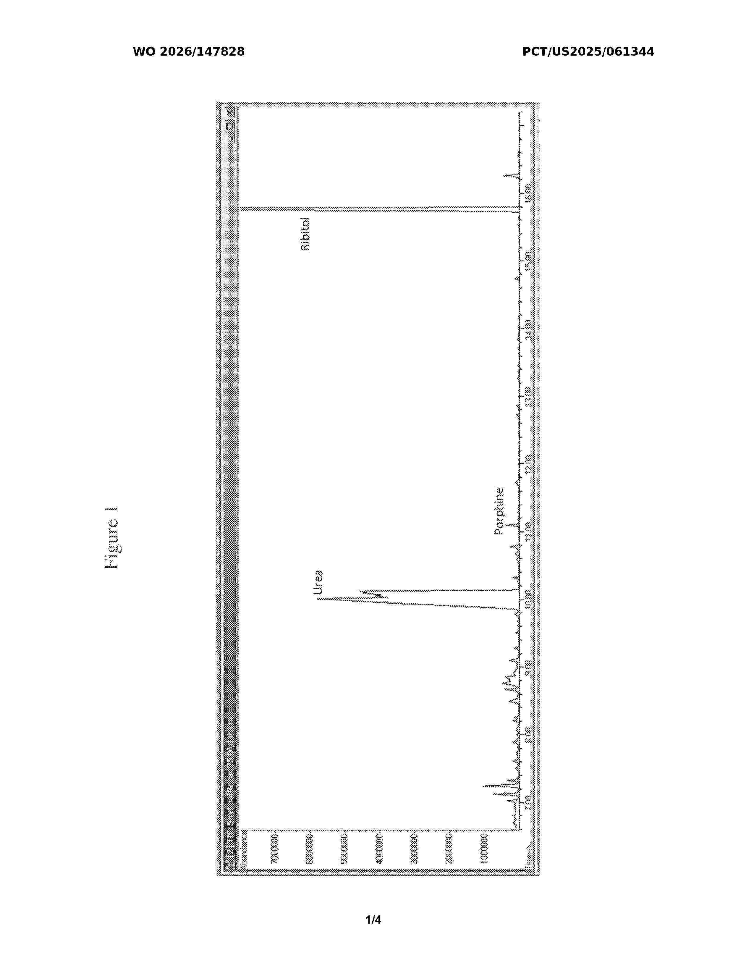 WO_2026147828_A1