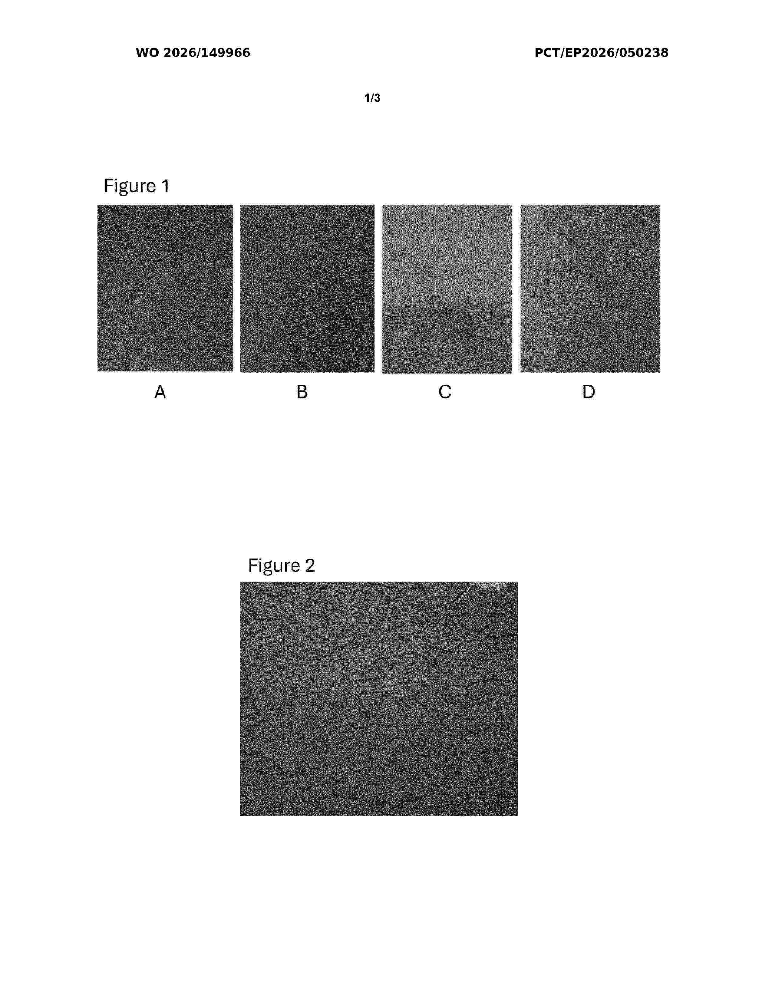 WO_2026149966_A1