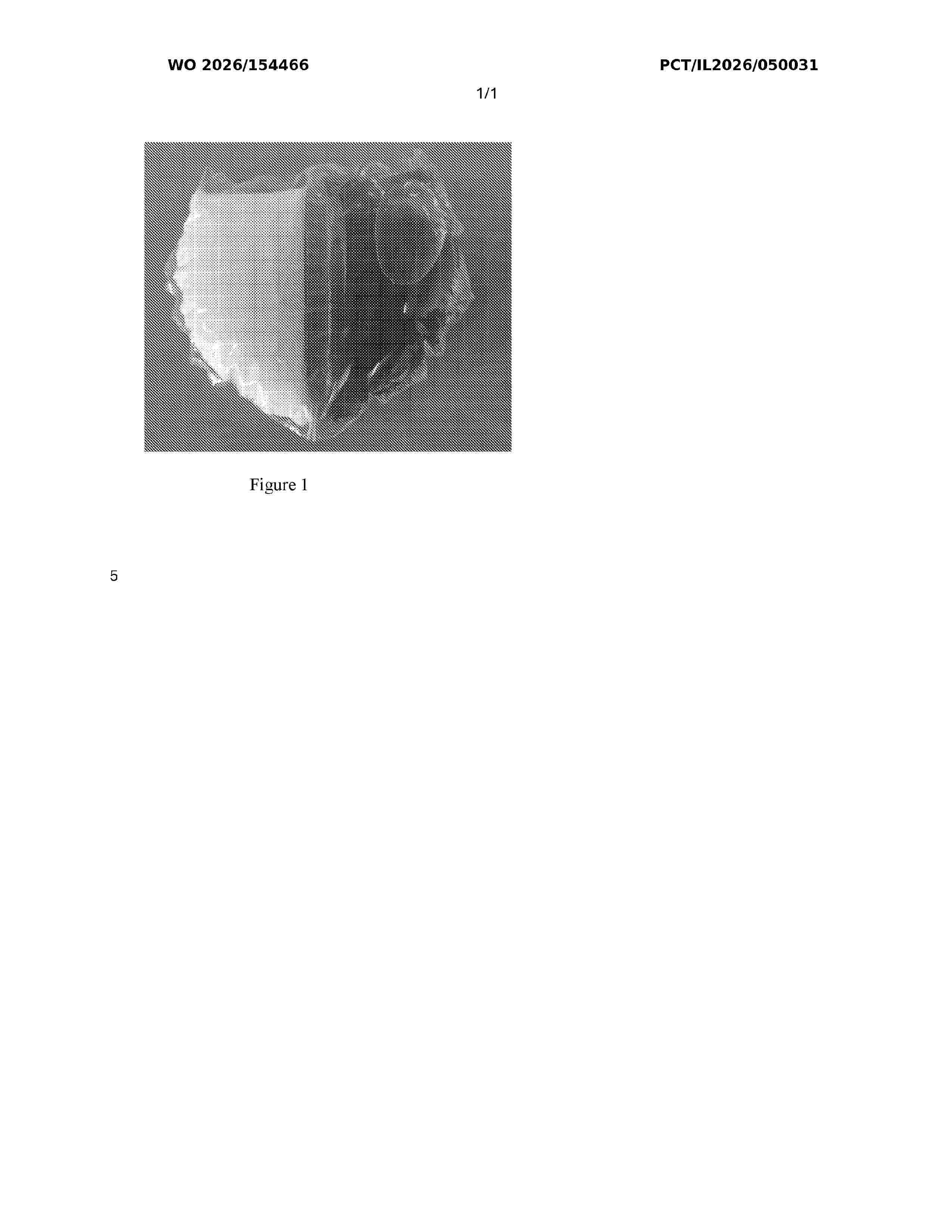 WO_2026154466_A1