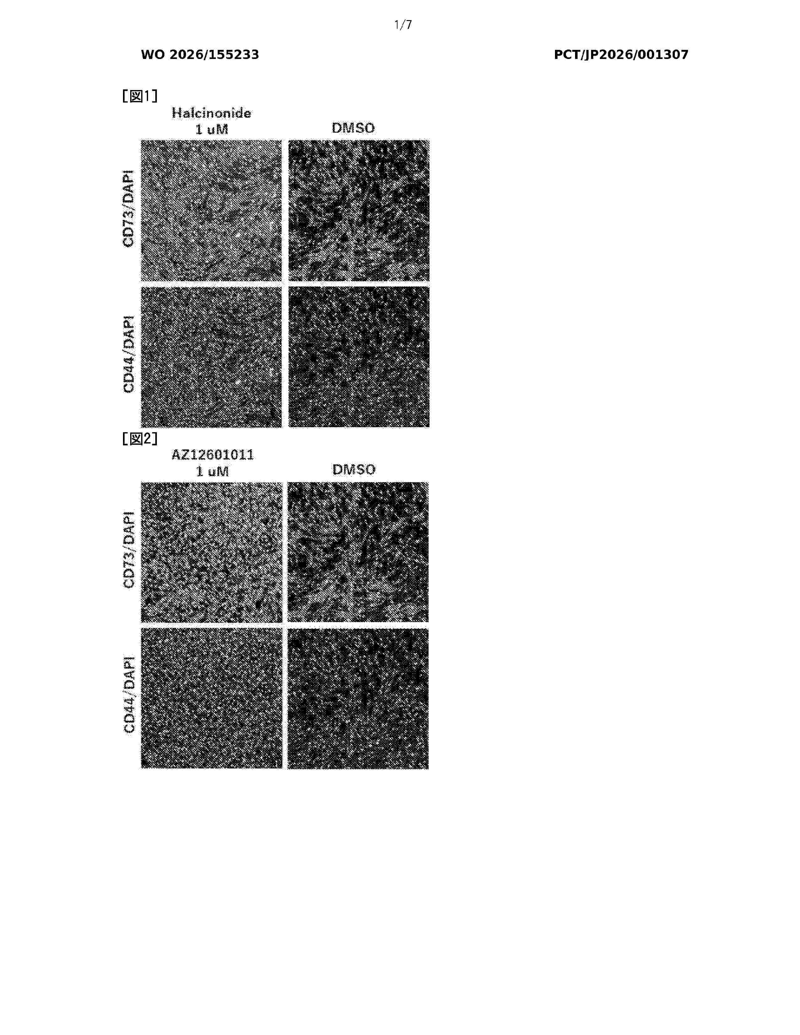 WO_2026155233_A1