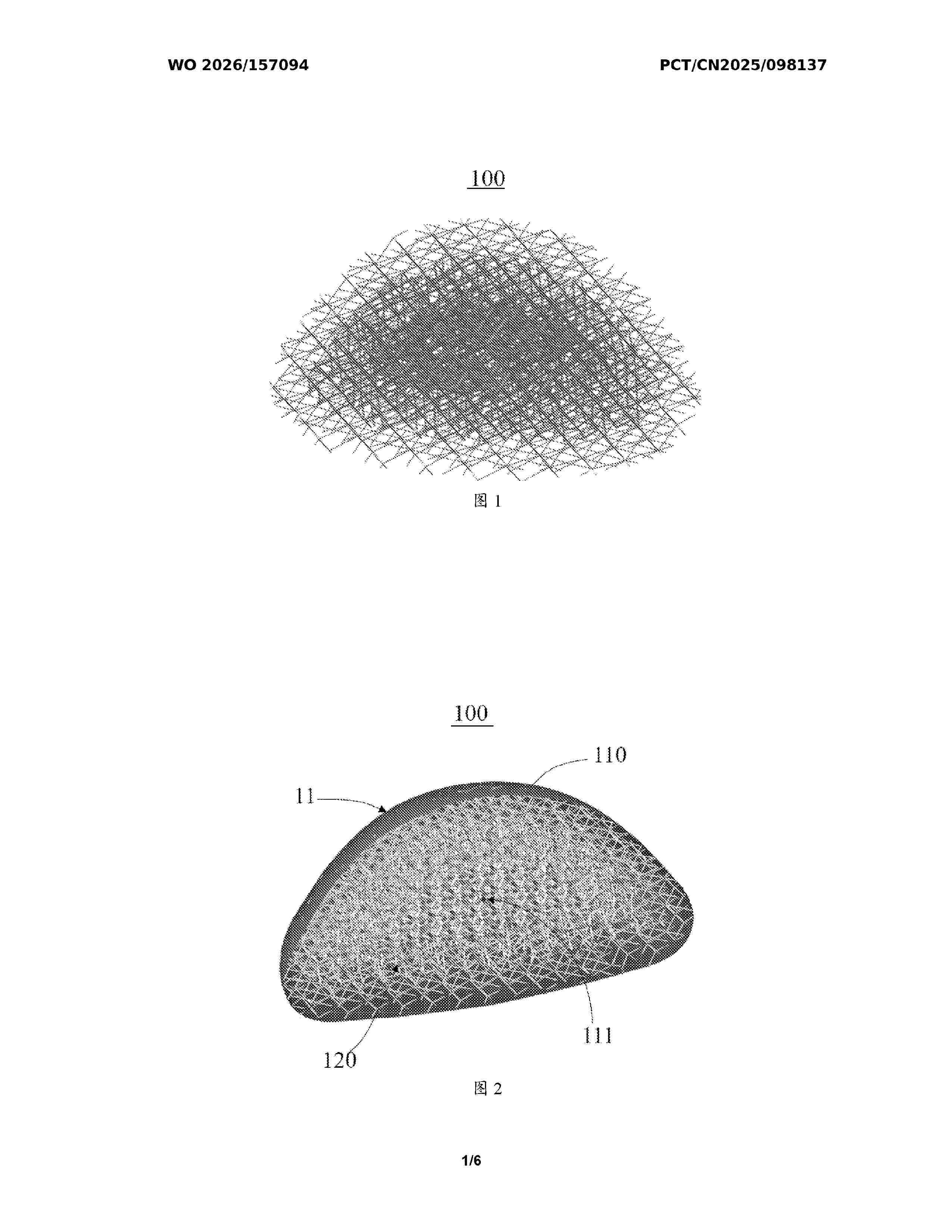 WO_2026157094_A1