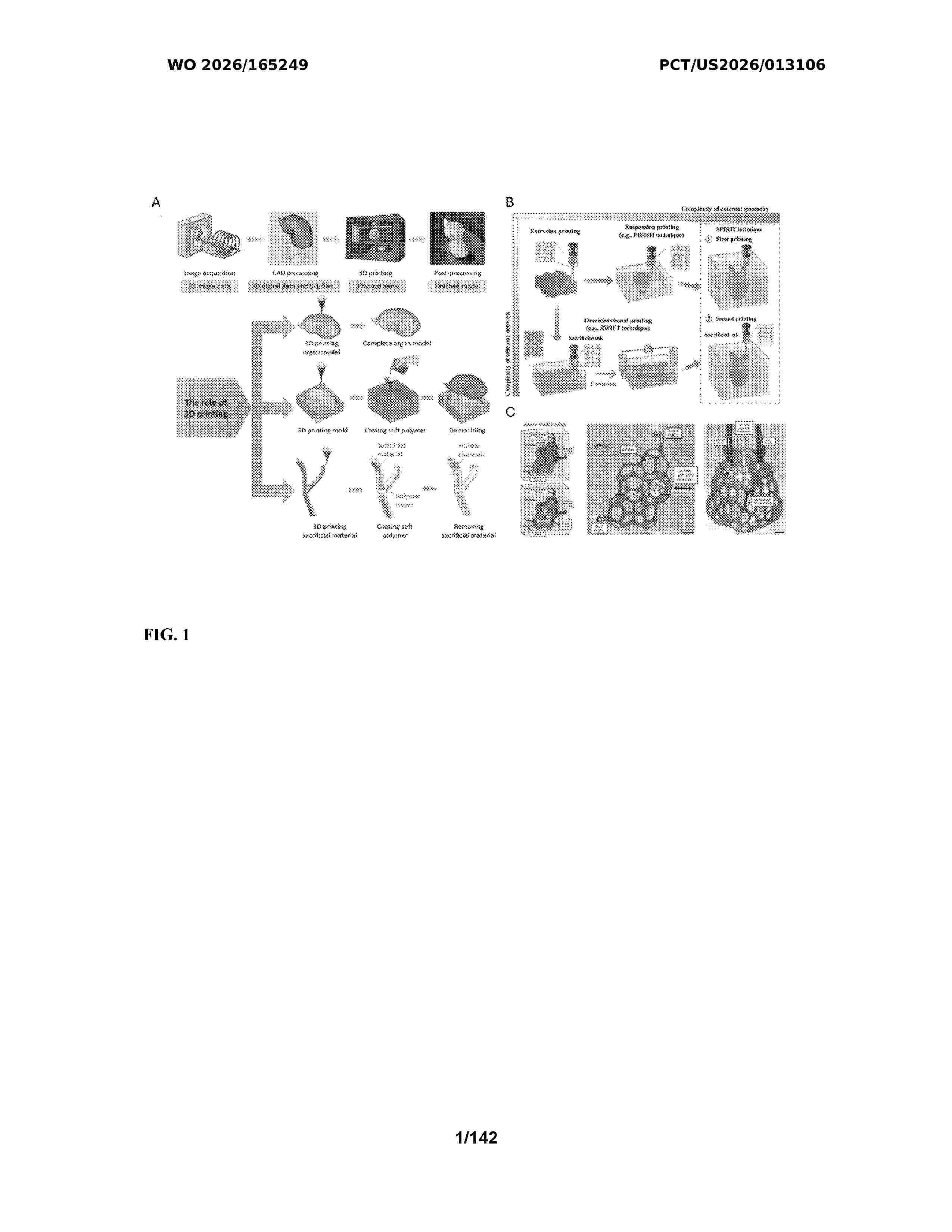 WO_2026165249_A1