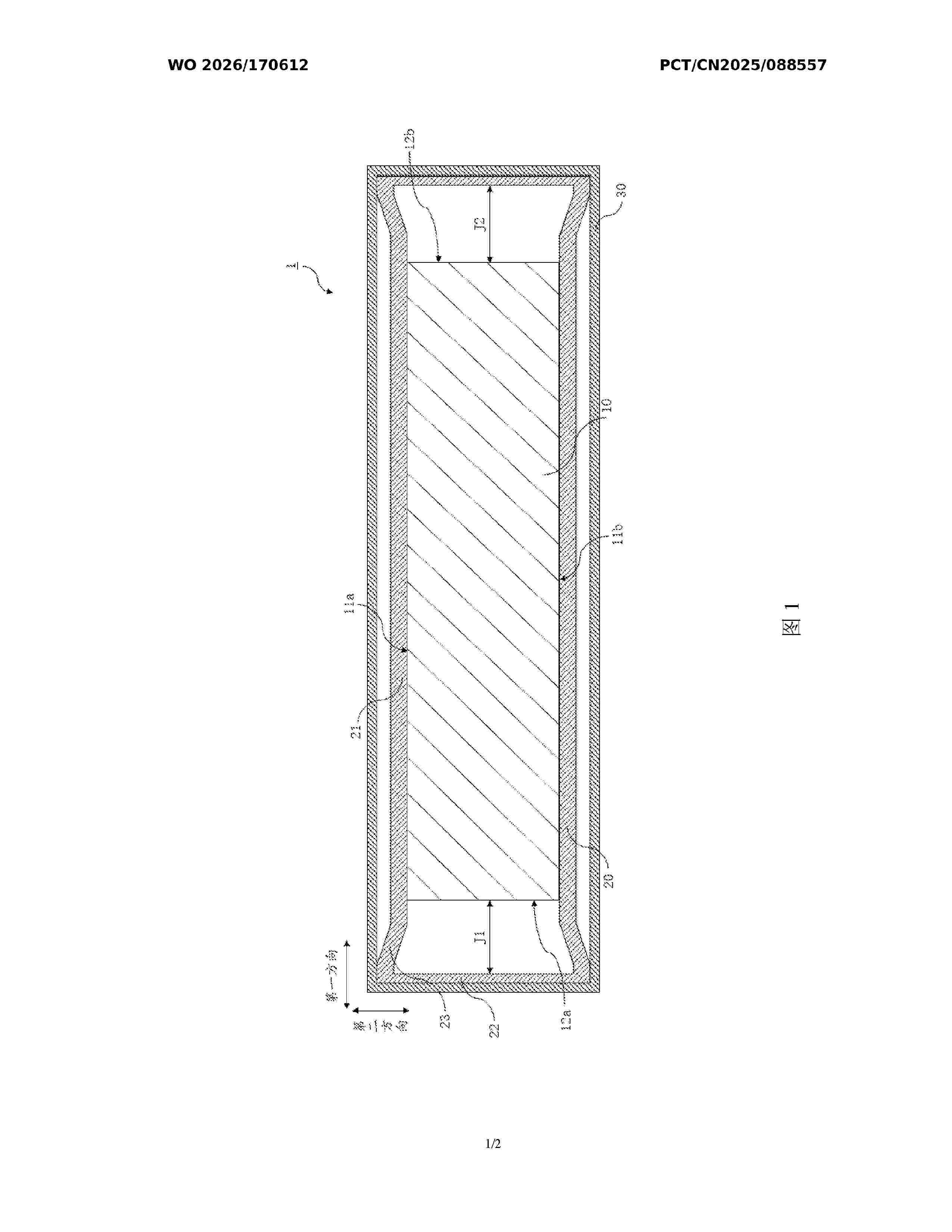 WO_2026170612_A1