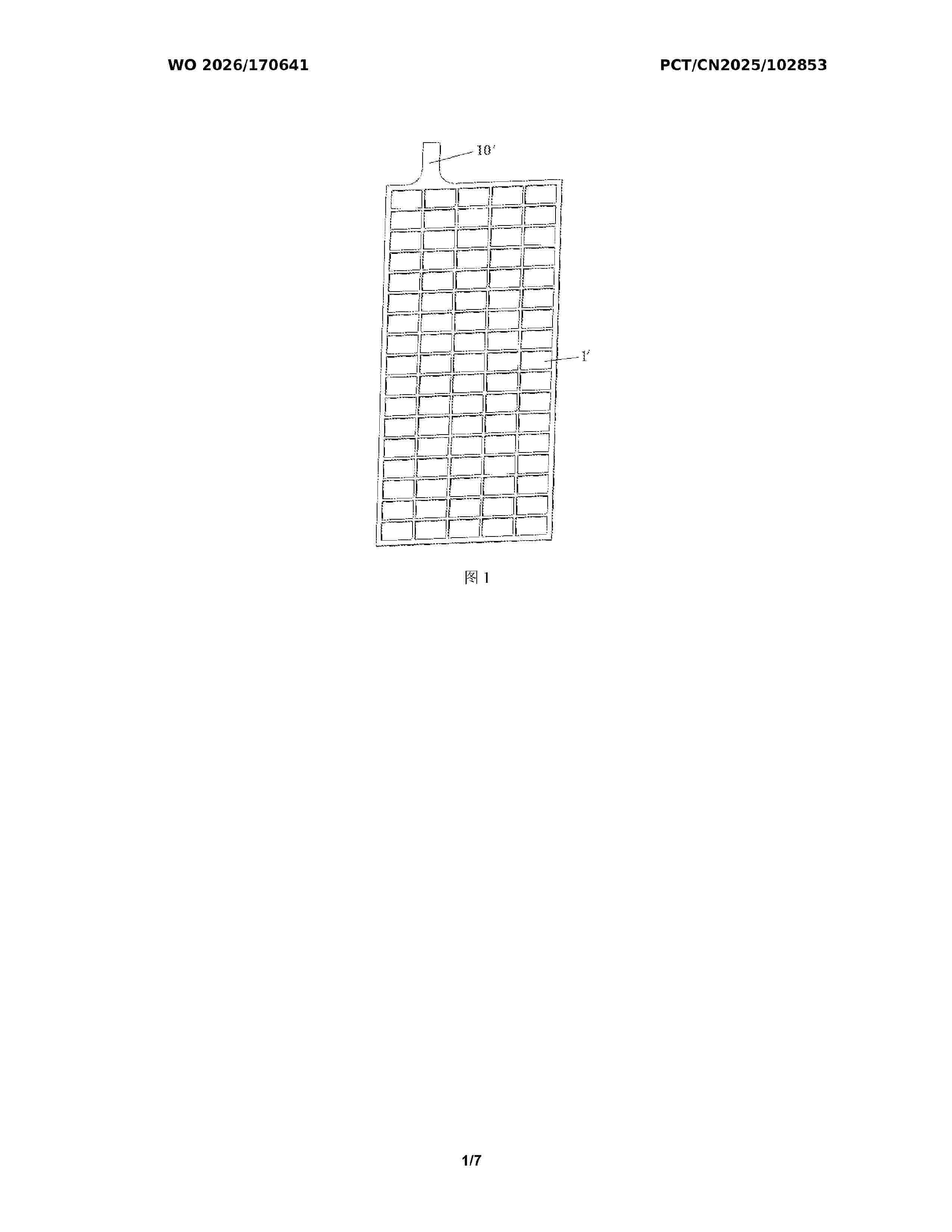 WO_2026170641_A1