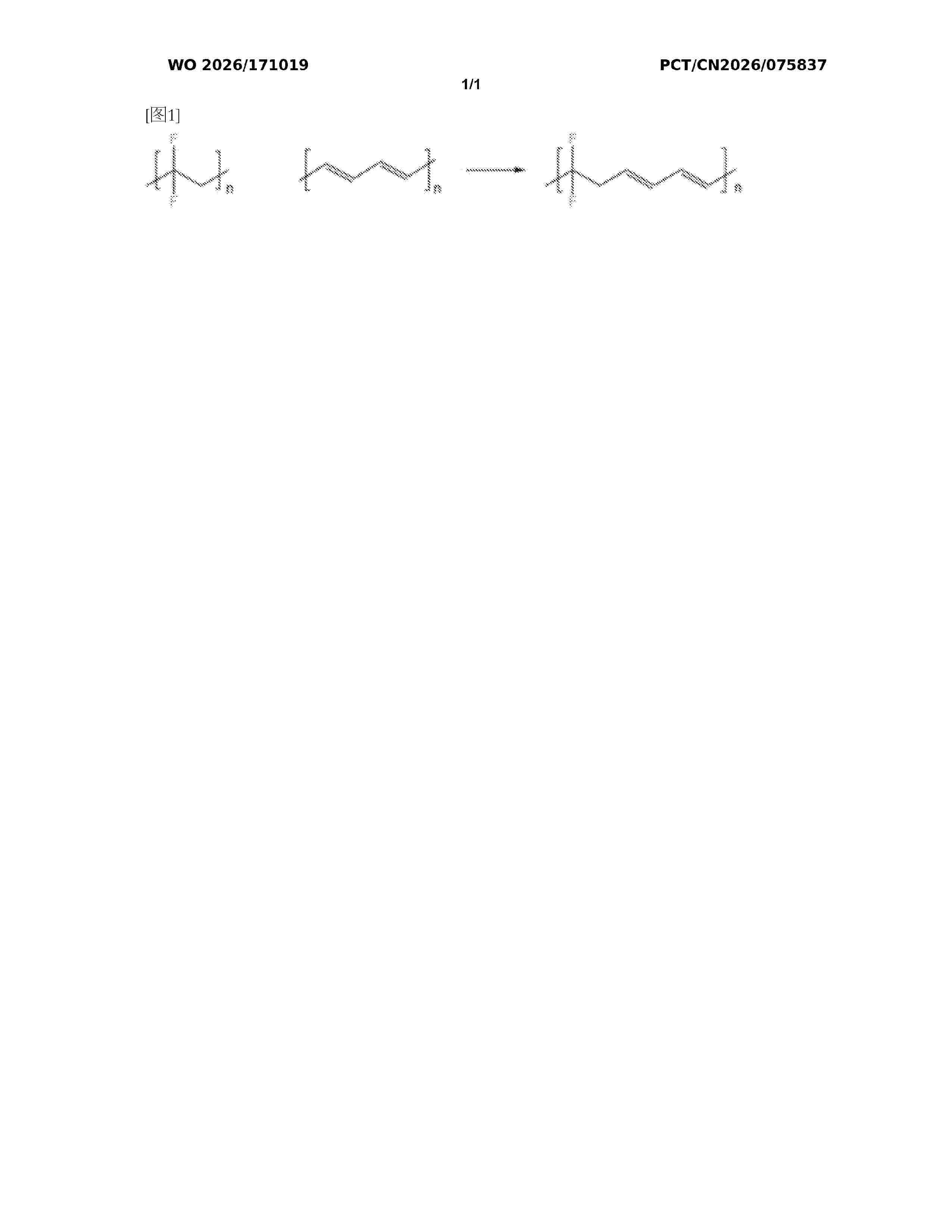 WO_2026171019_A1