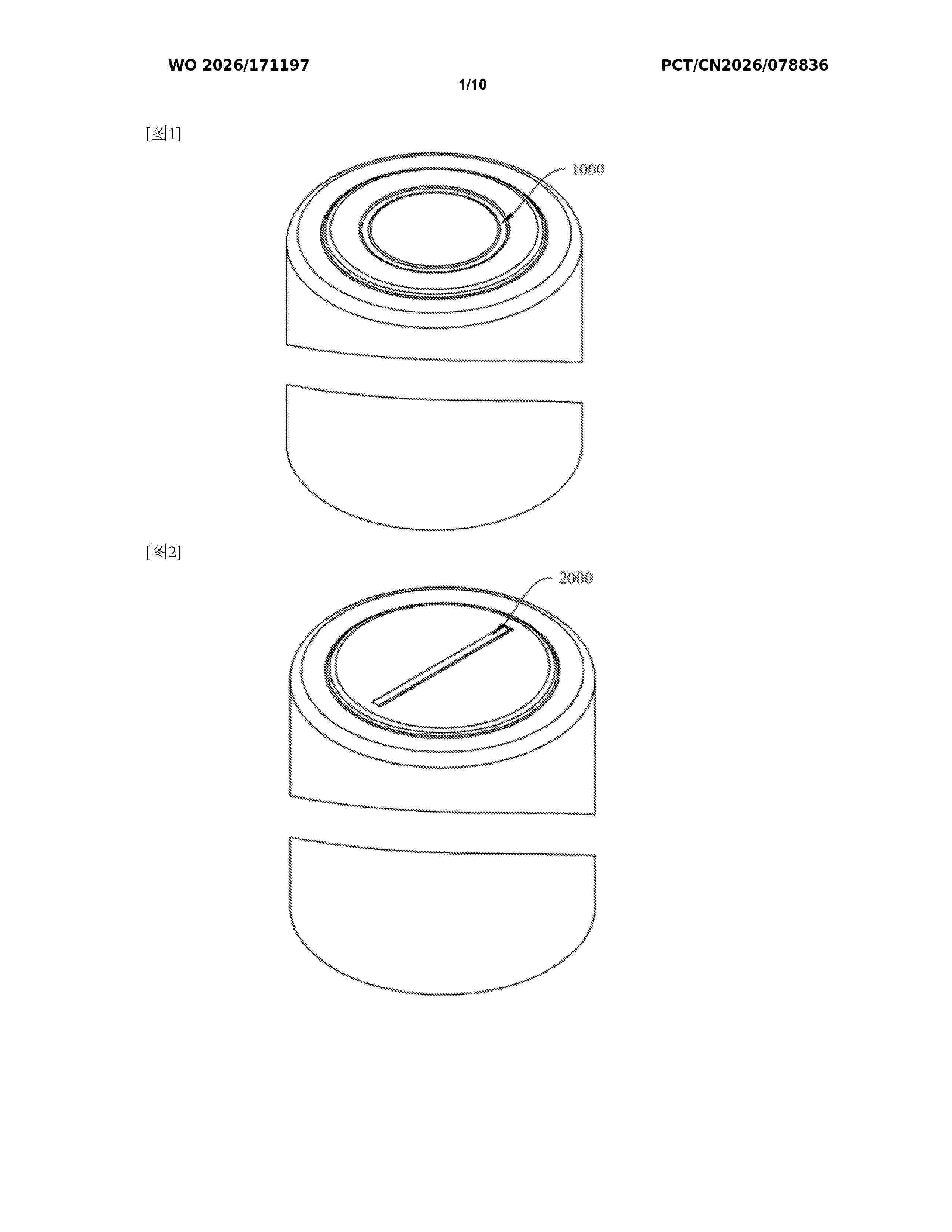 WO_2026171197_A1