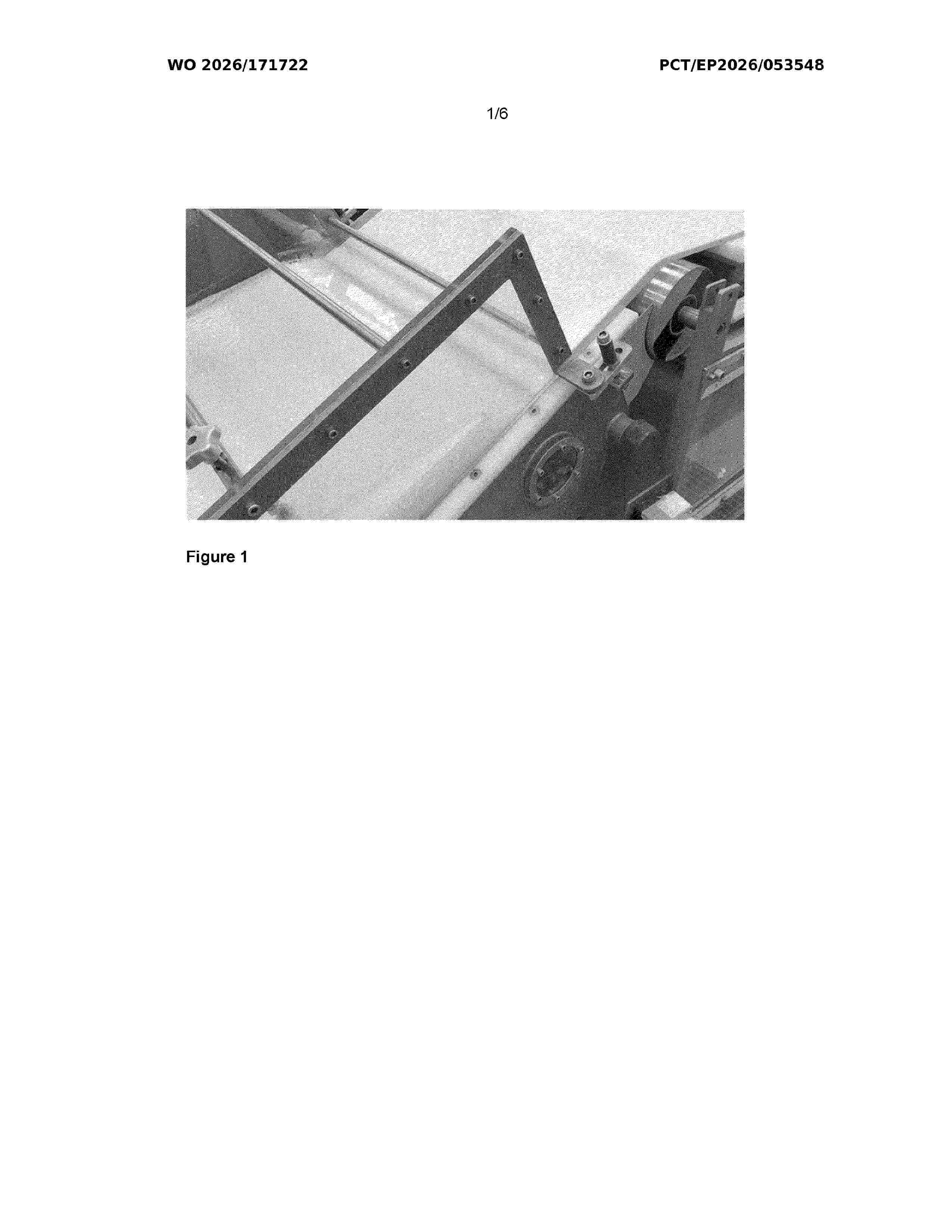 WO_2026171722_A1