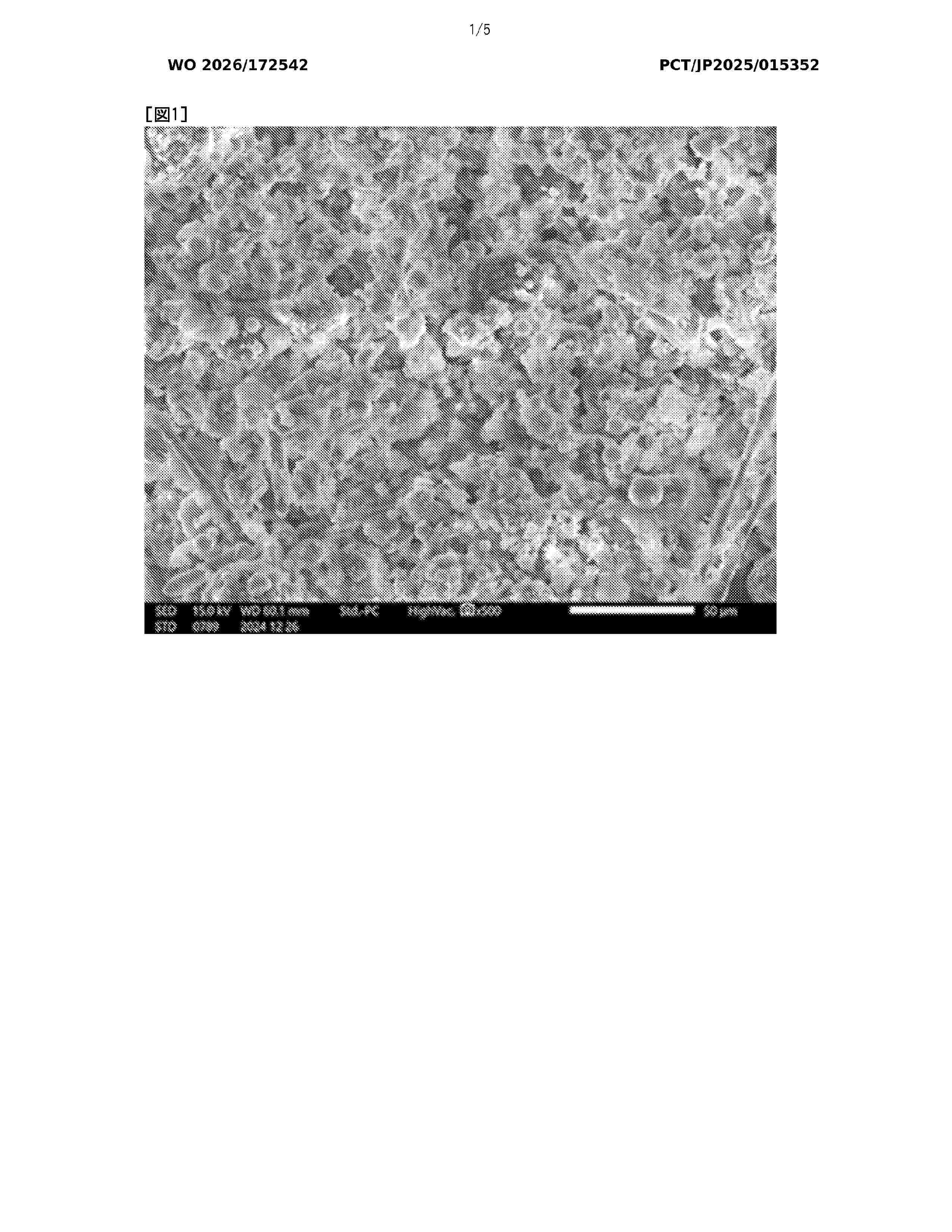 WO_2026172542_A1