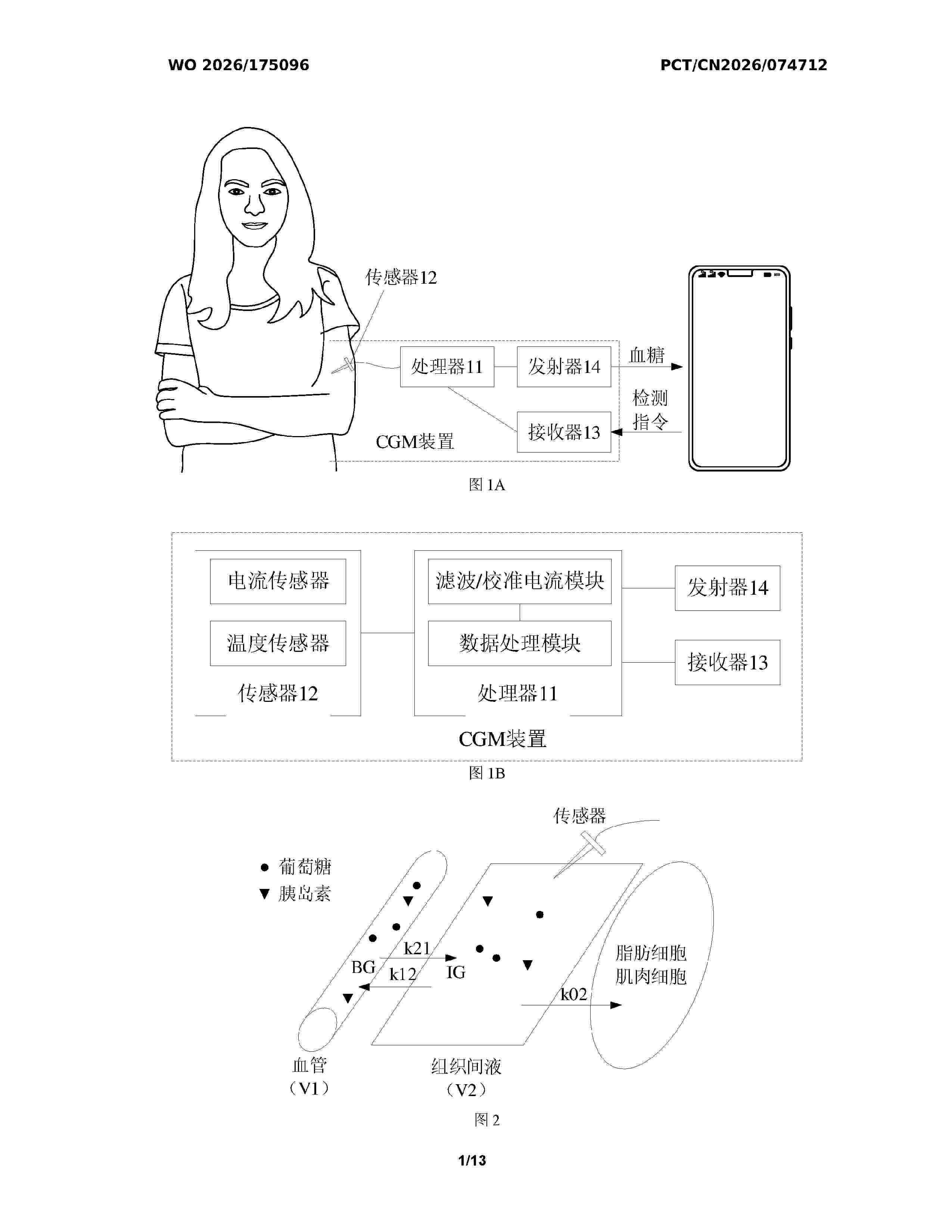 WO_2026175096_A1