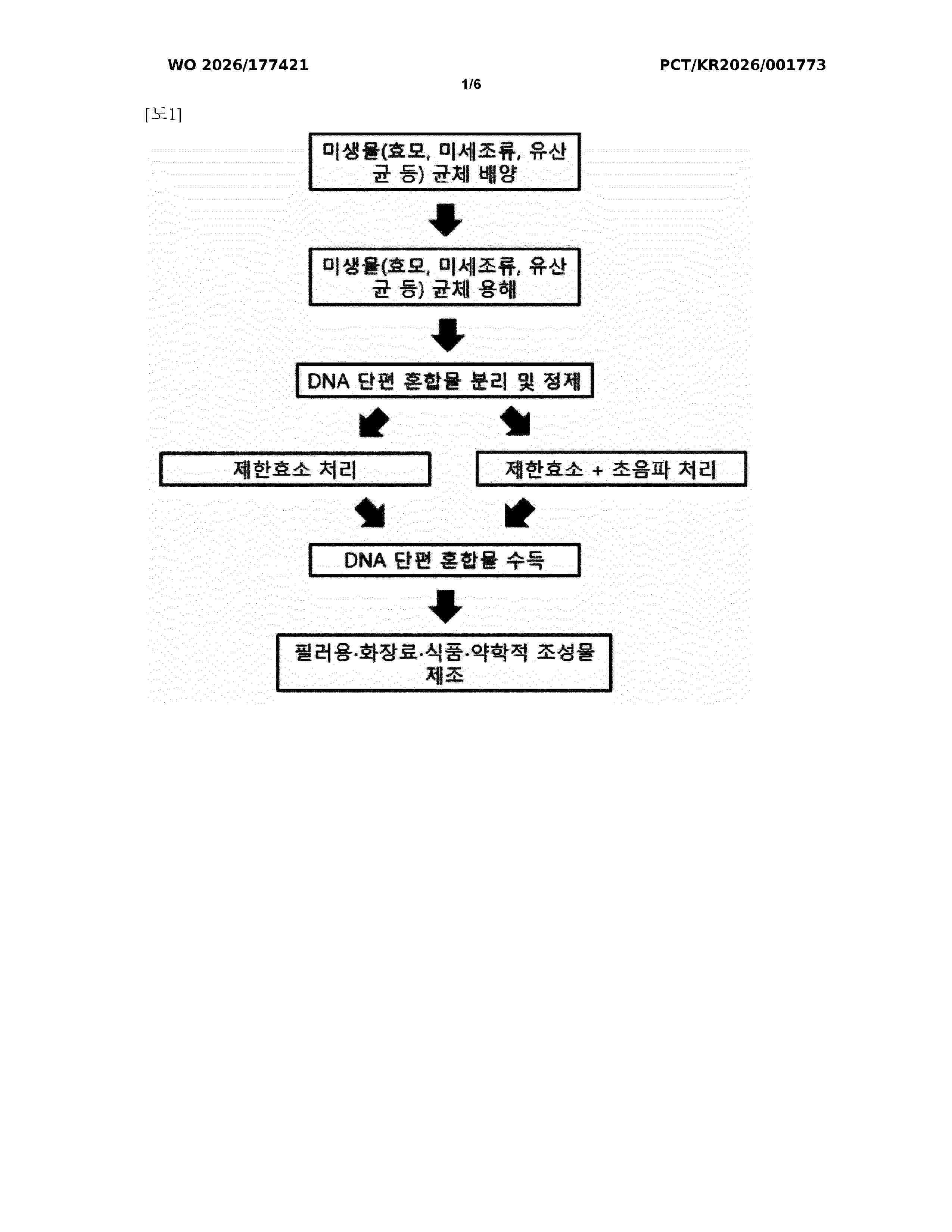 WO_2026177421_A1