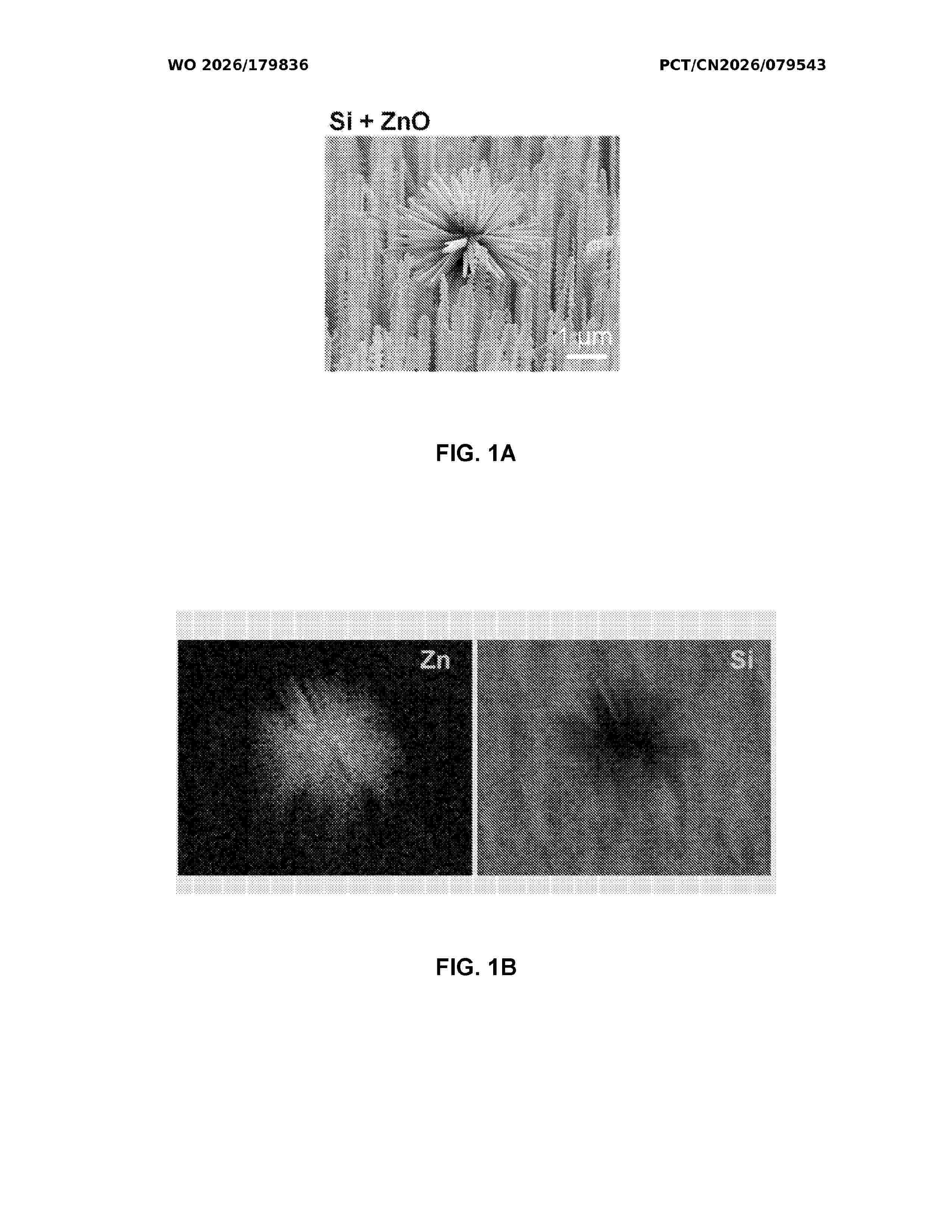 WO_2026179836_A1