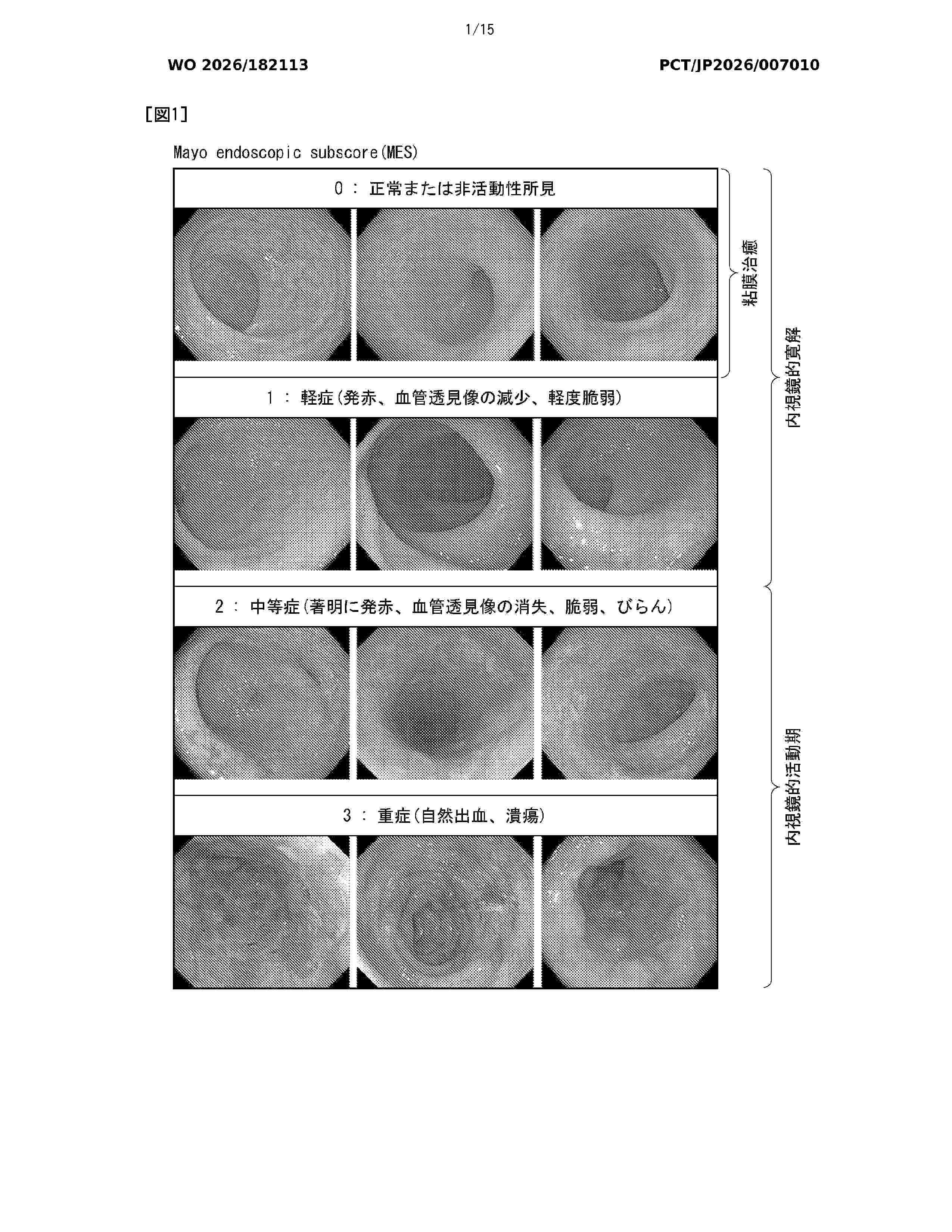 WO_2026182113_A1