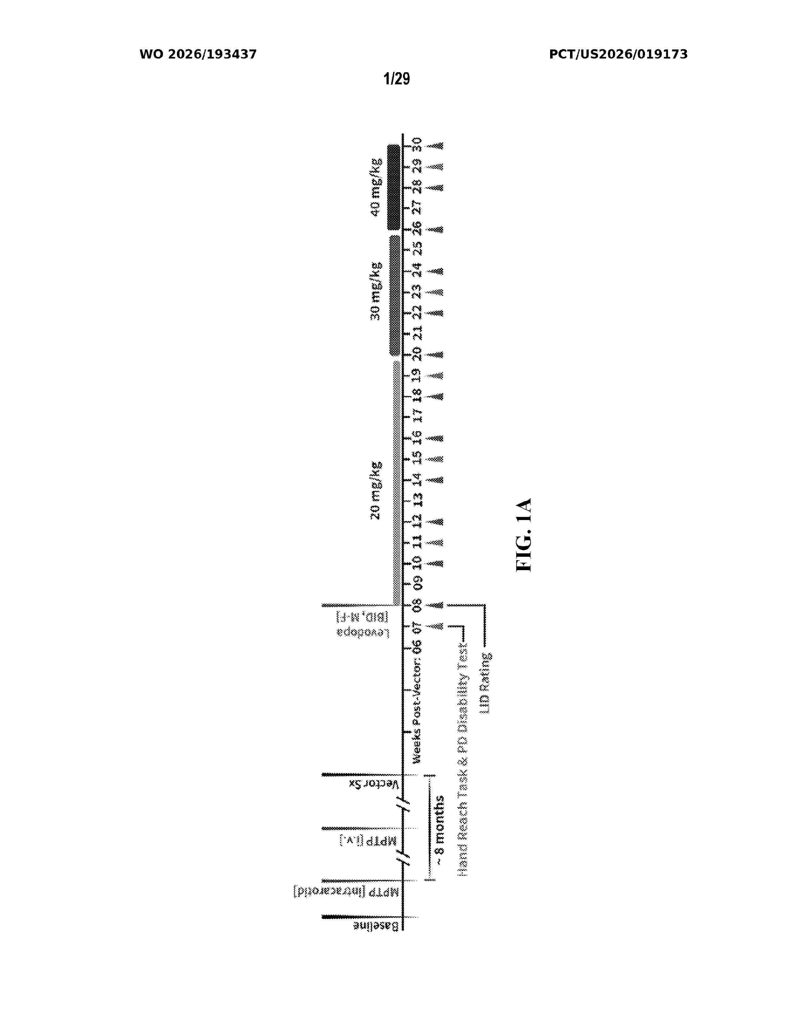 WO_2026193437_A1