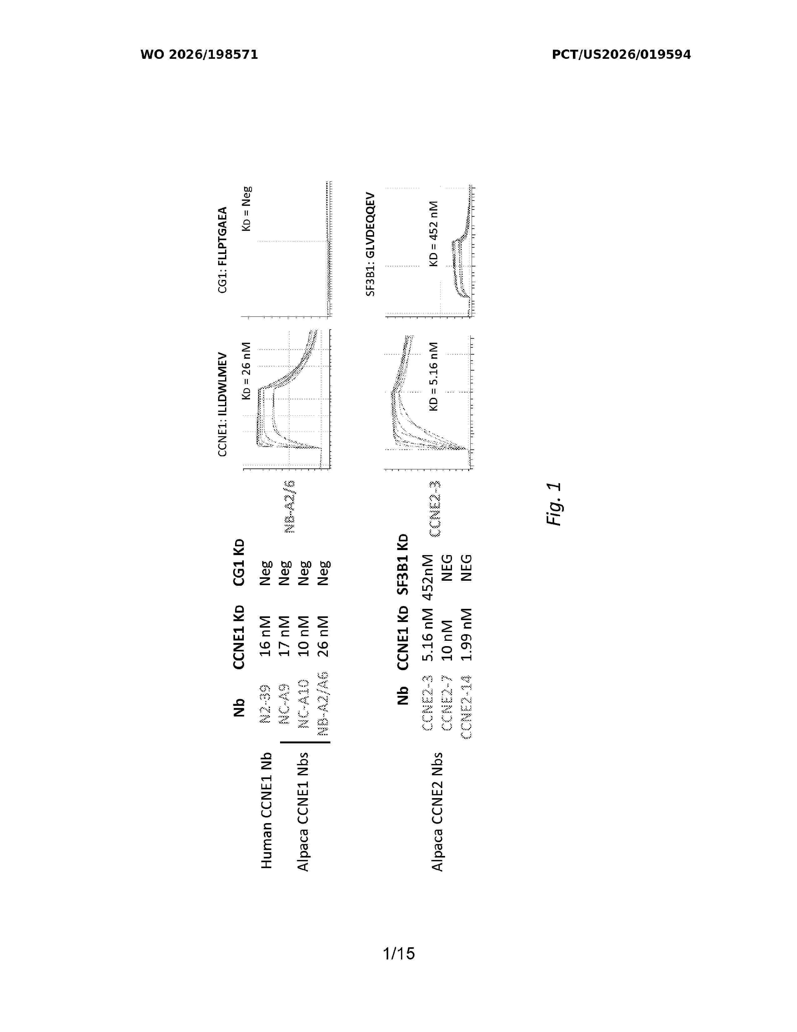 WO_2026198571_A1