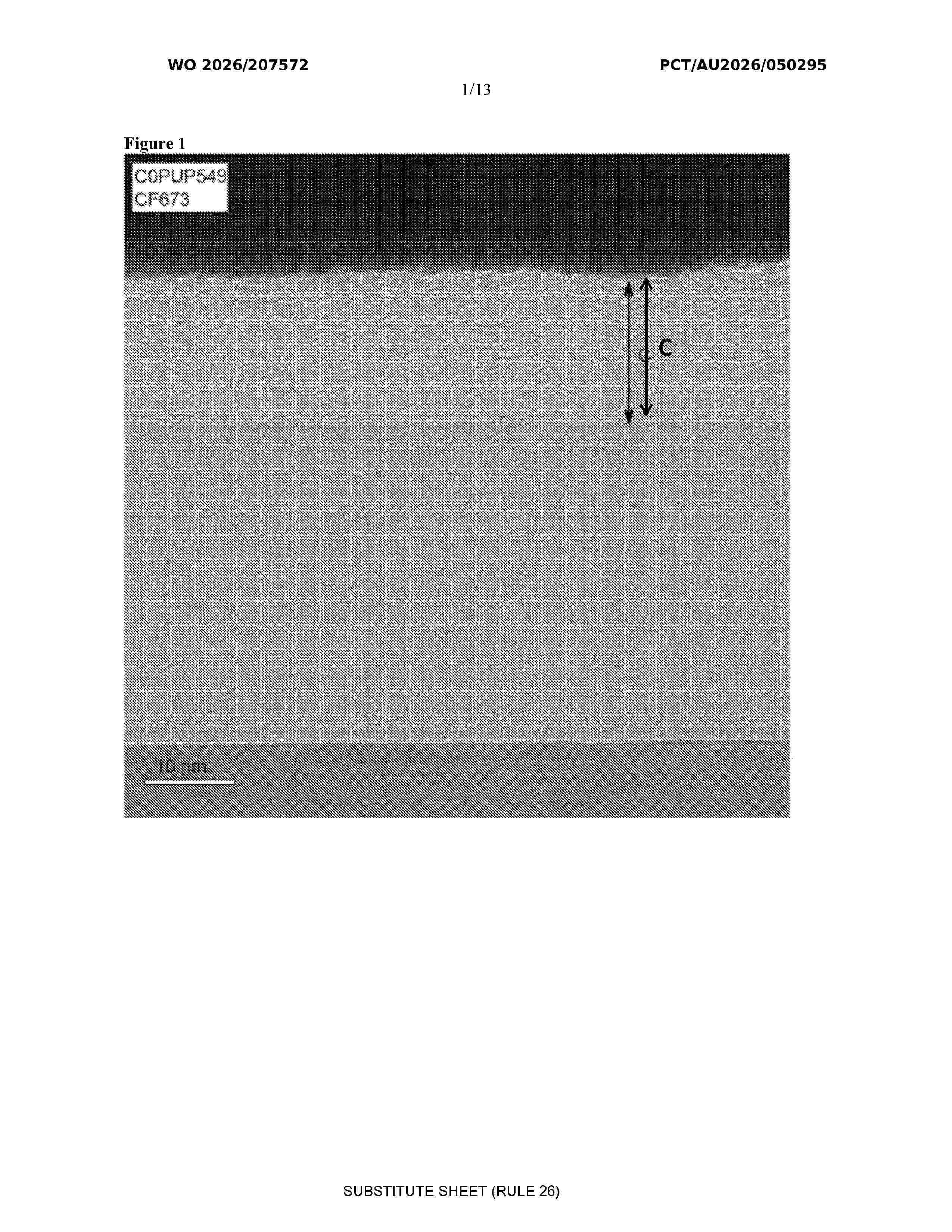 WO_2026207572_A1