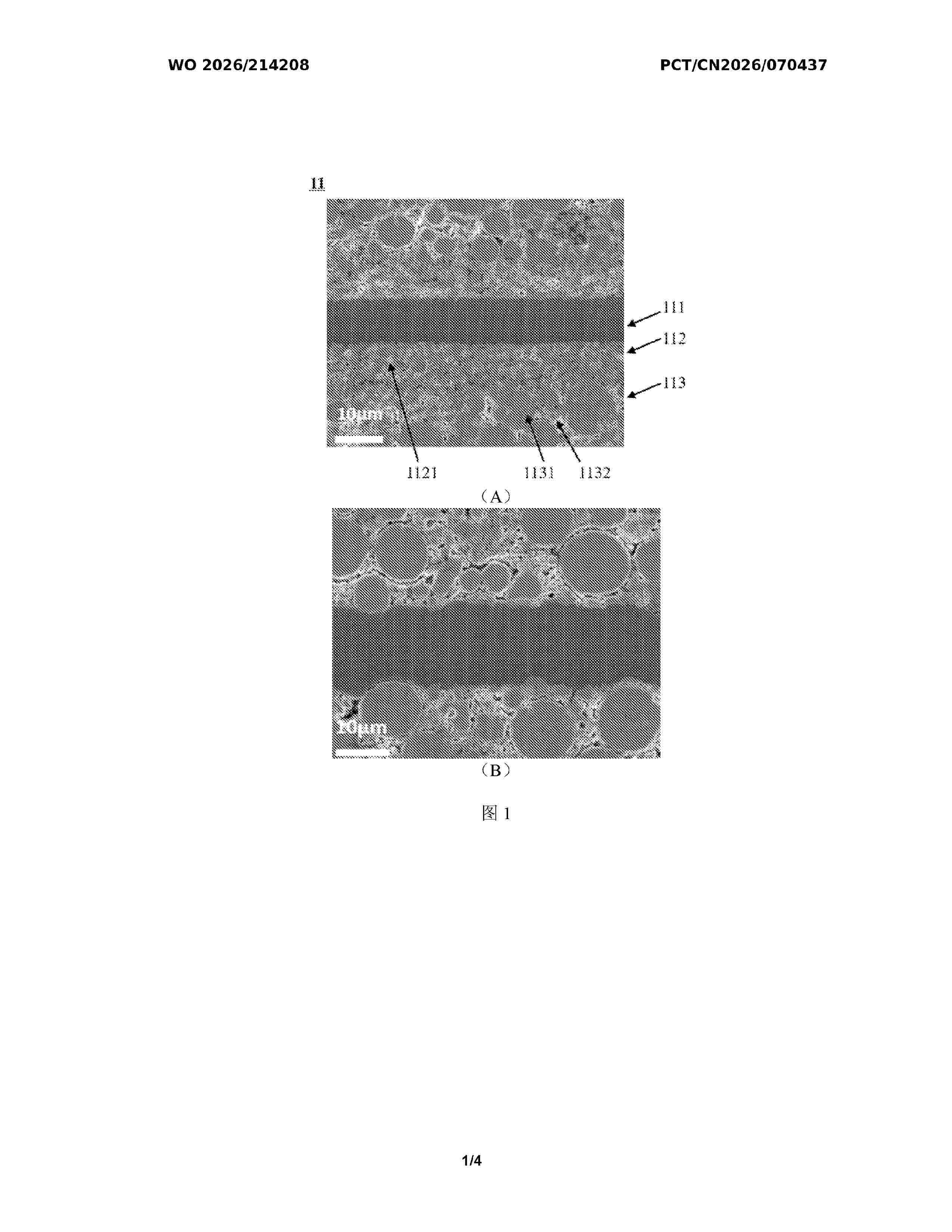 WO_2026214208_A1