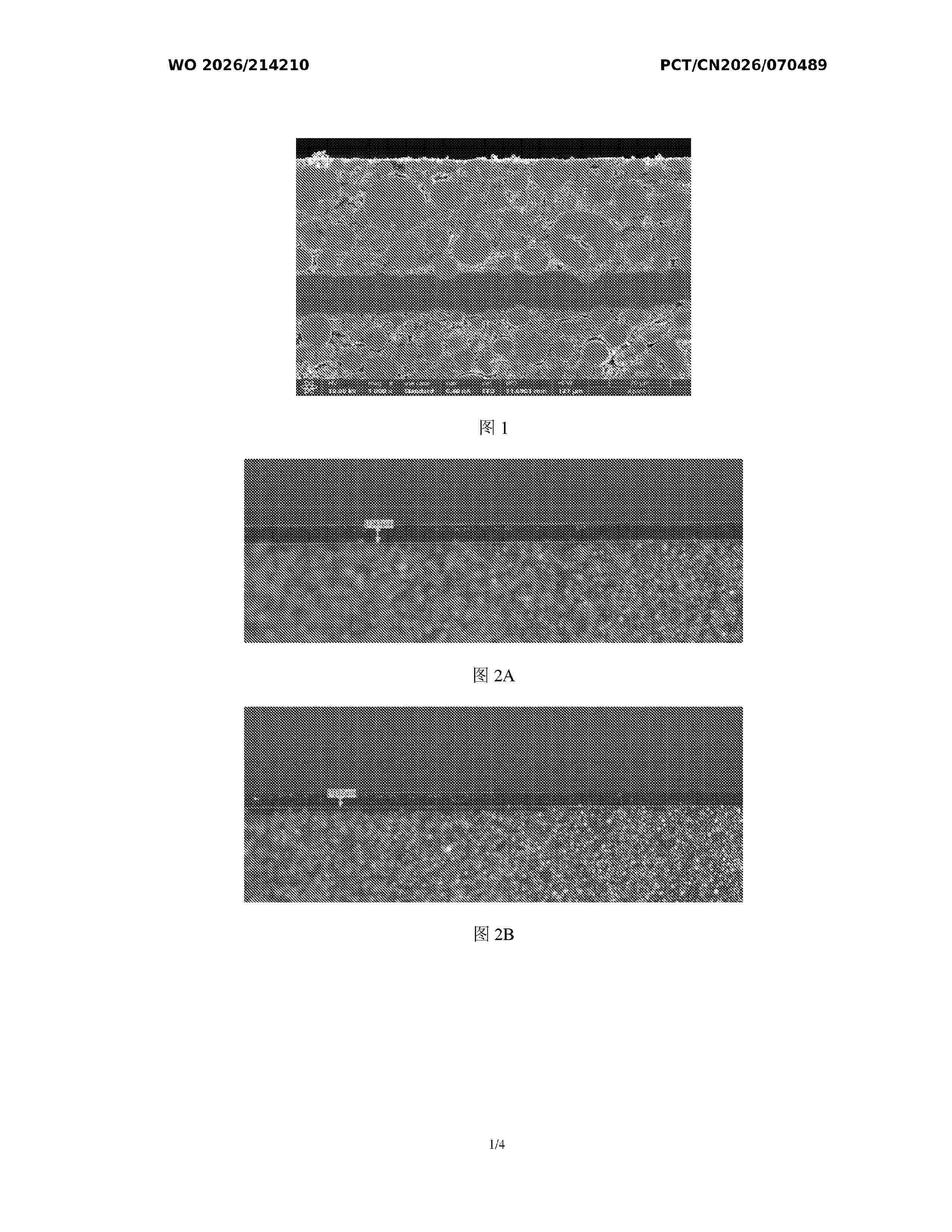 WO_2026214210_A1