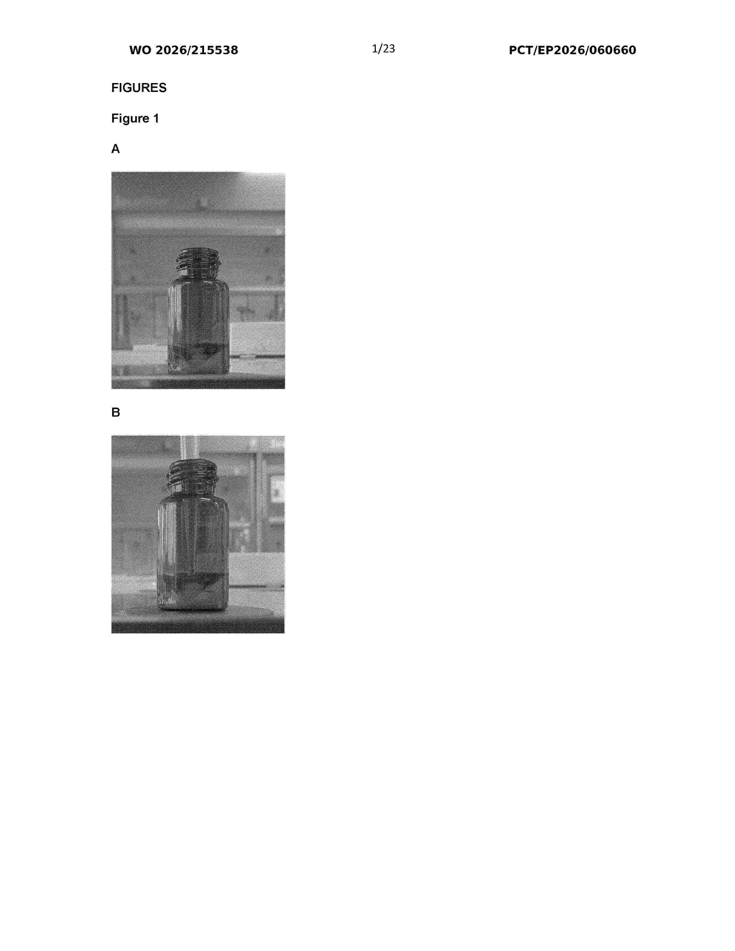 WO_2026215538_A1