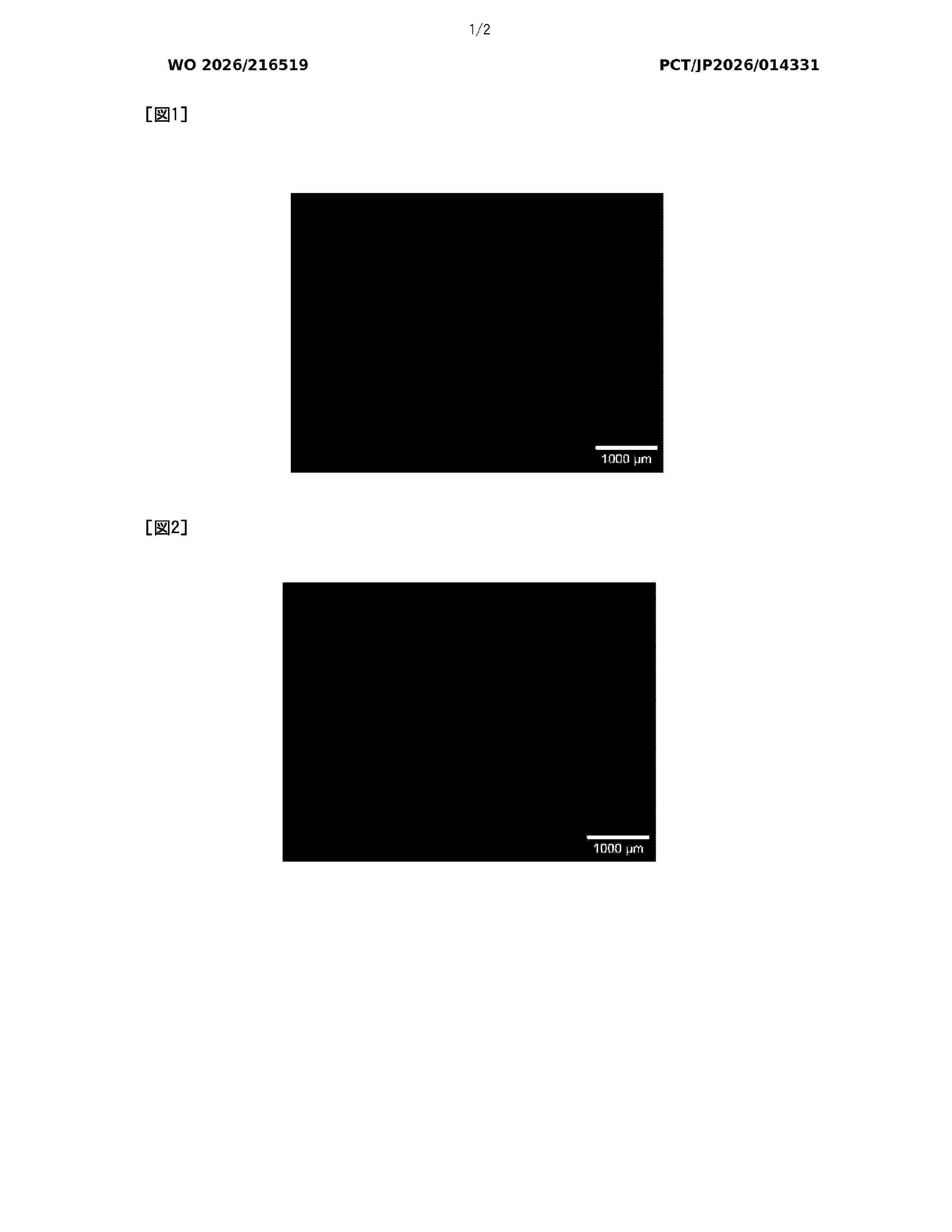 WO_2026216519_A1