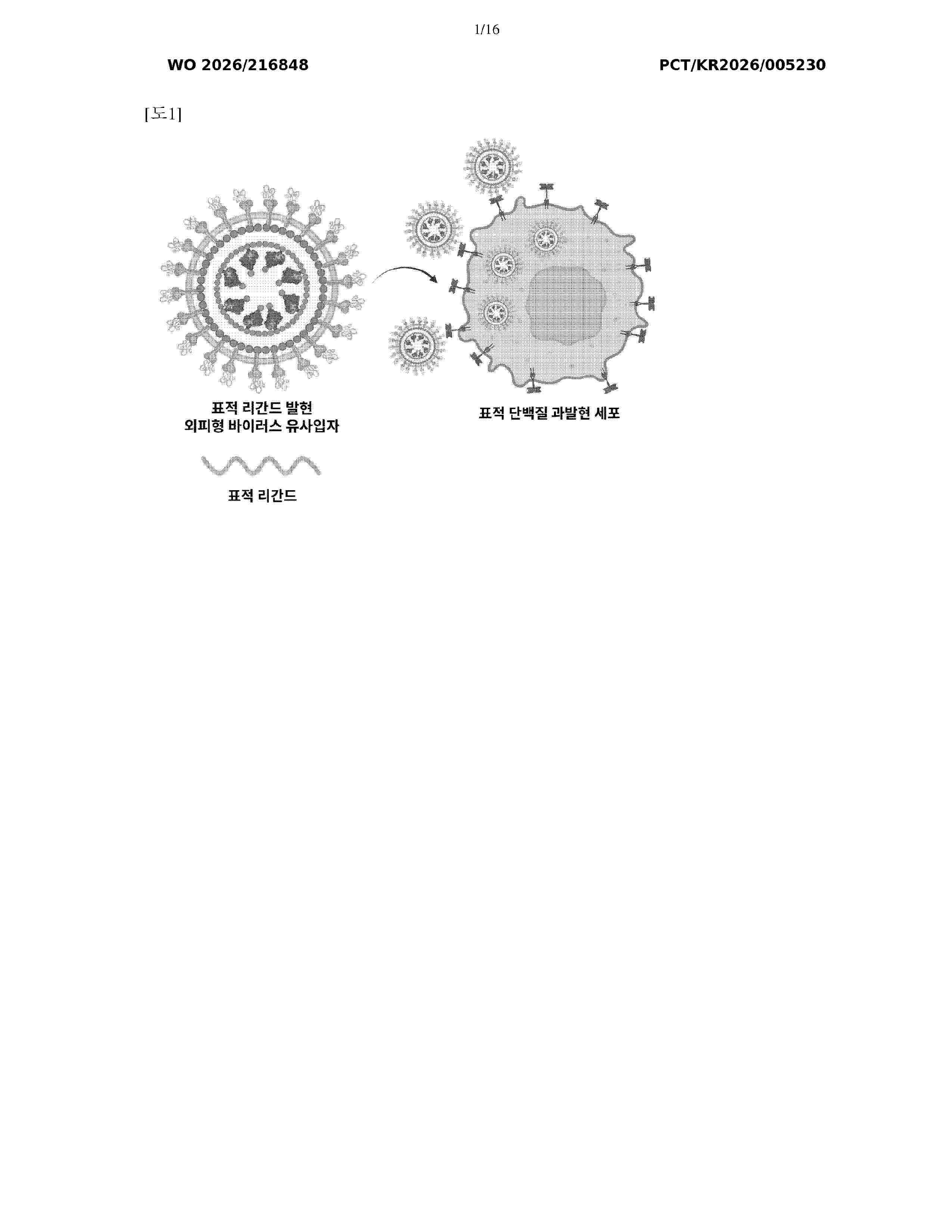WO_2026216848_A1