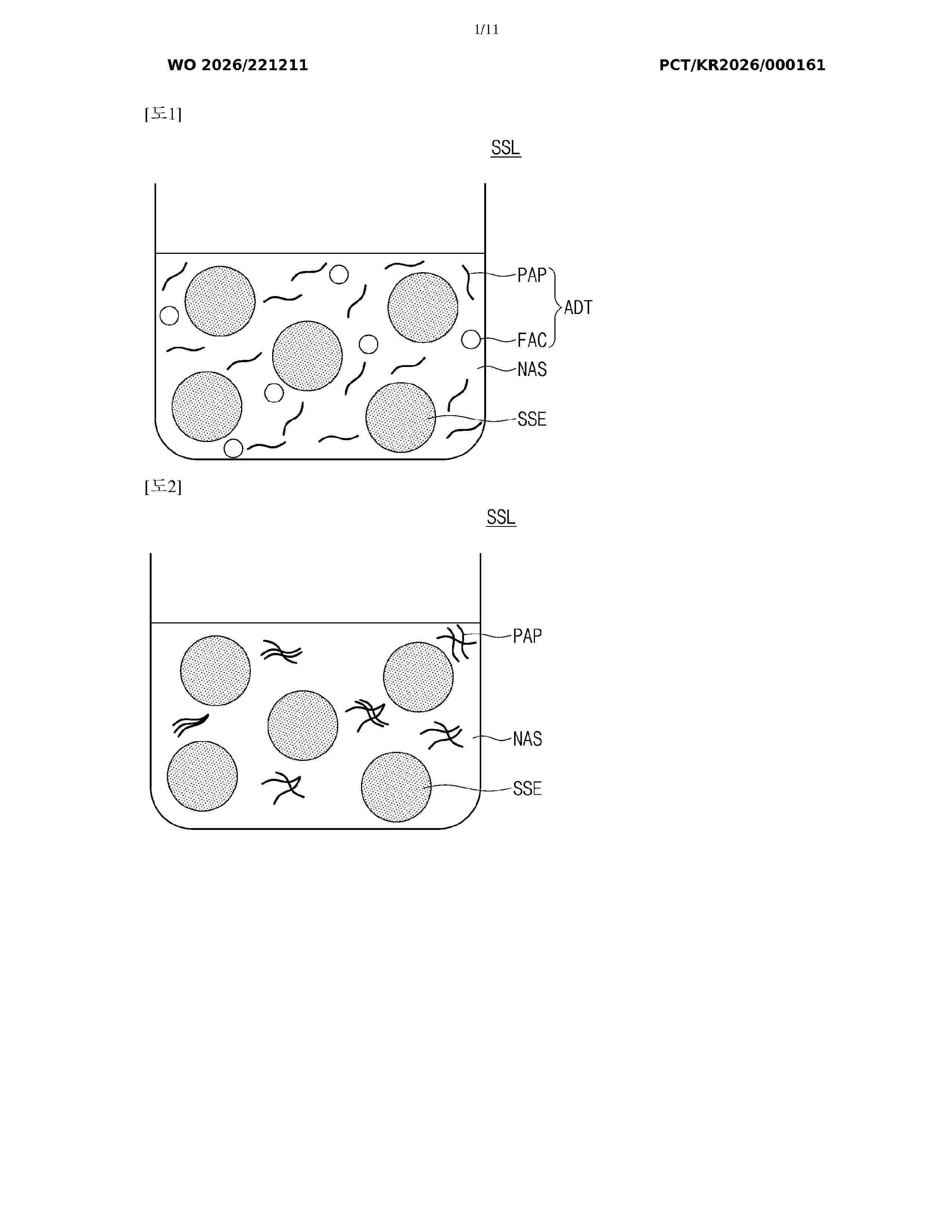 WO_2026221211_A1