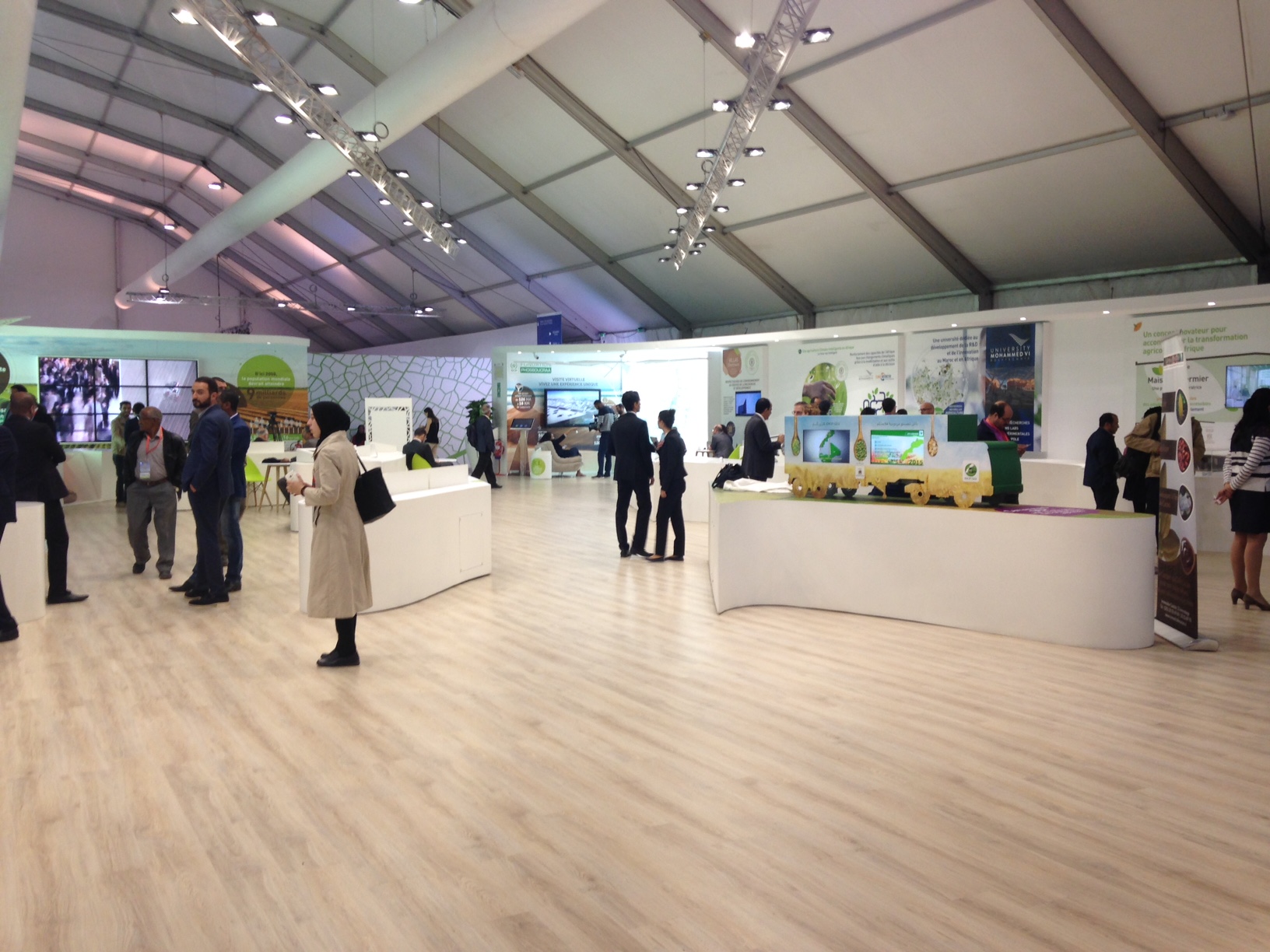 Crónica de la 22 reunión de la Conferencia de las Partes en la Convención Marco de las Naciones Unidas sobre Cambio Climático (COP22)